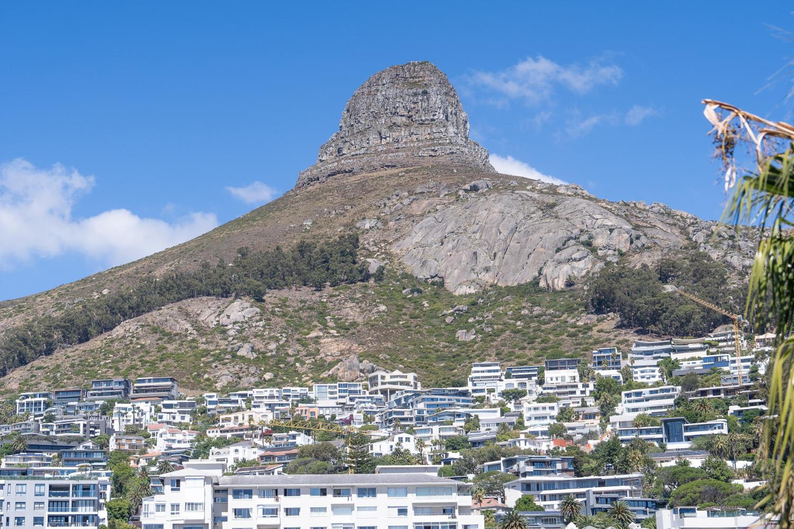 One-Bedroom Apartment with Mountain View - Photo 6