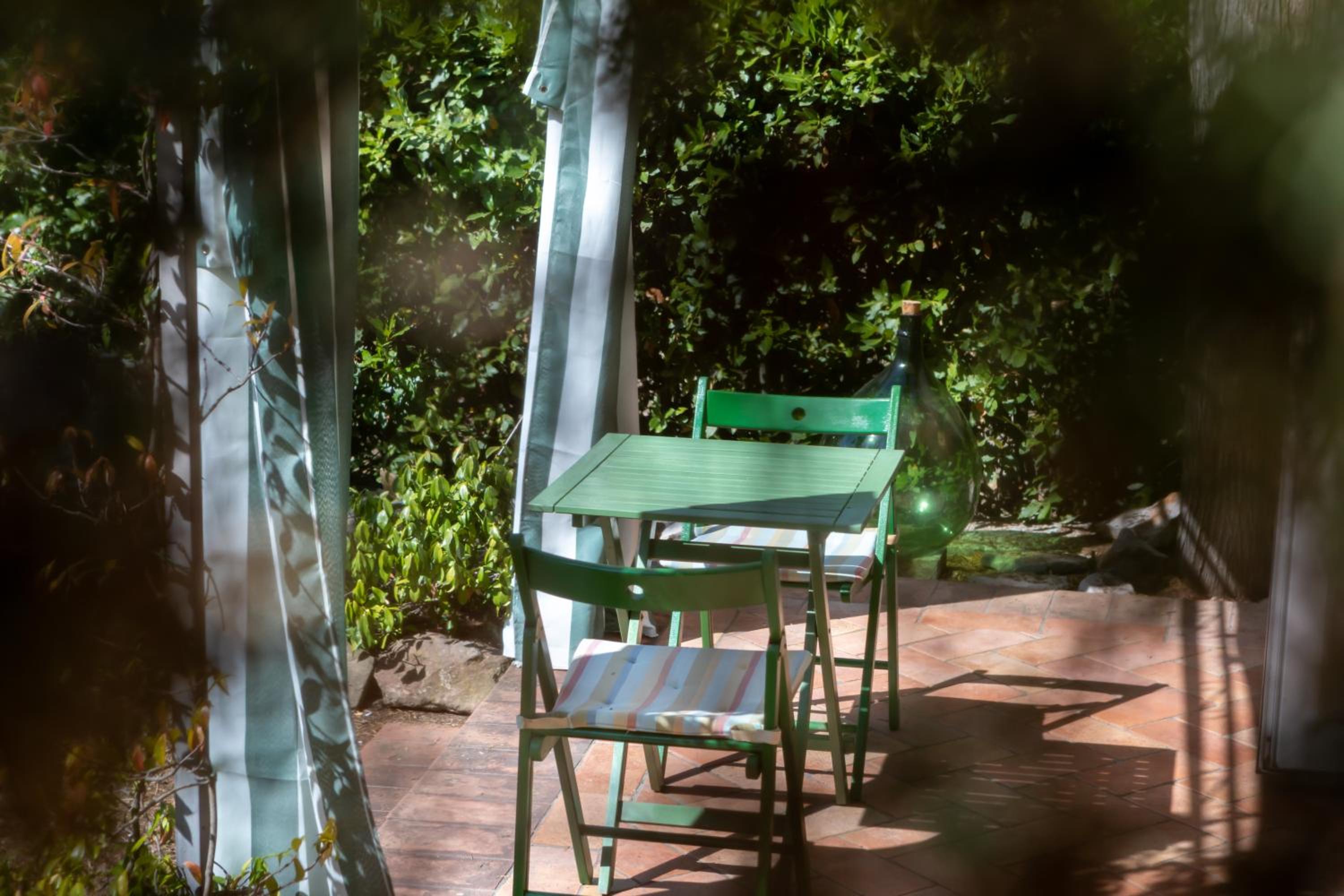 Studio with Garden View