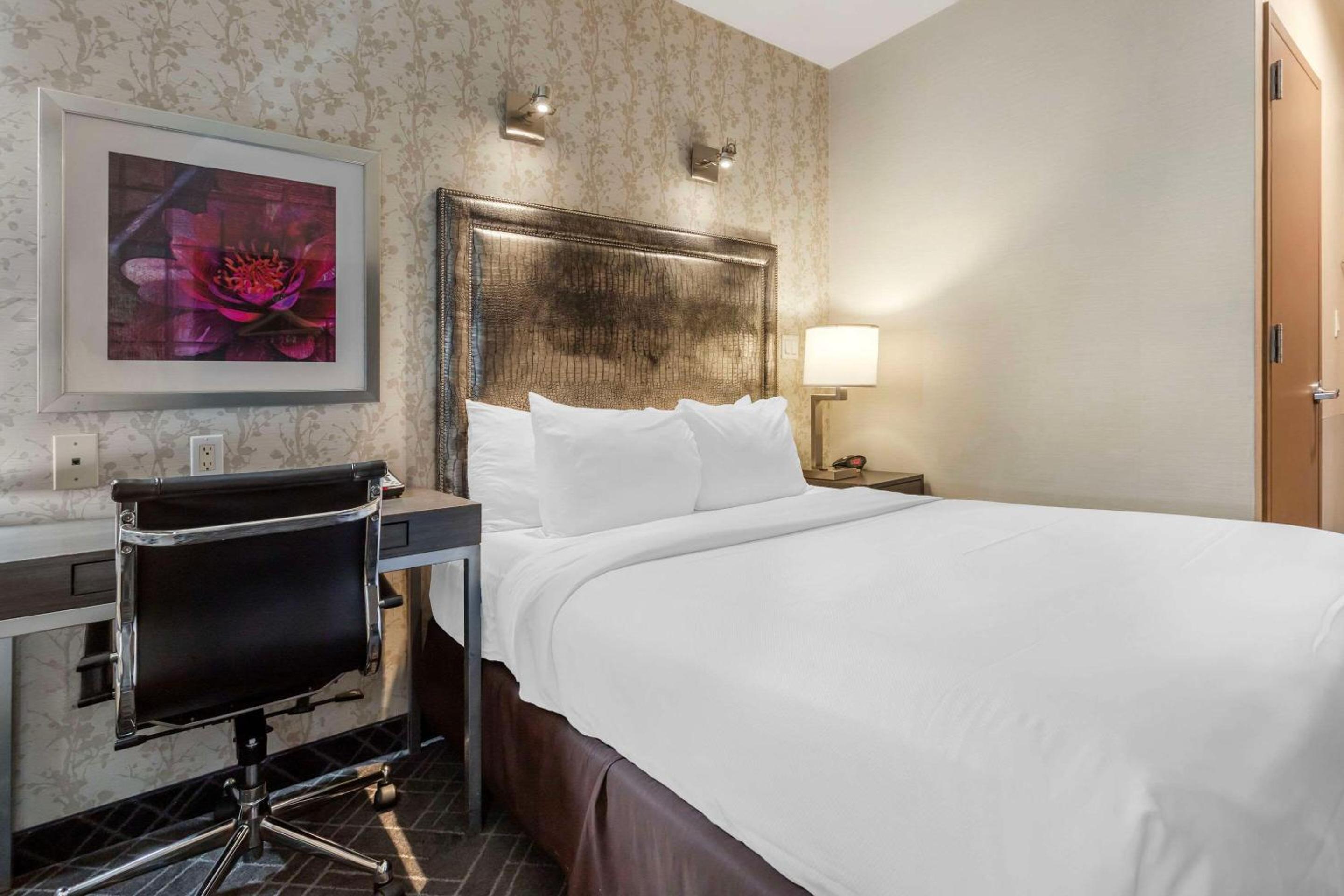 Queen Room - Disability Access/Non-Smoking