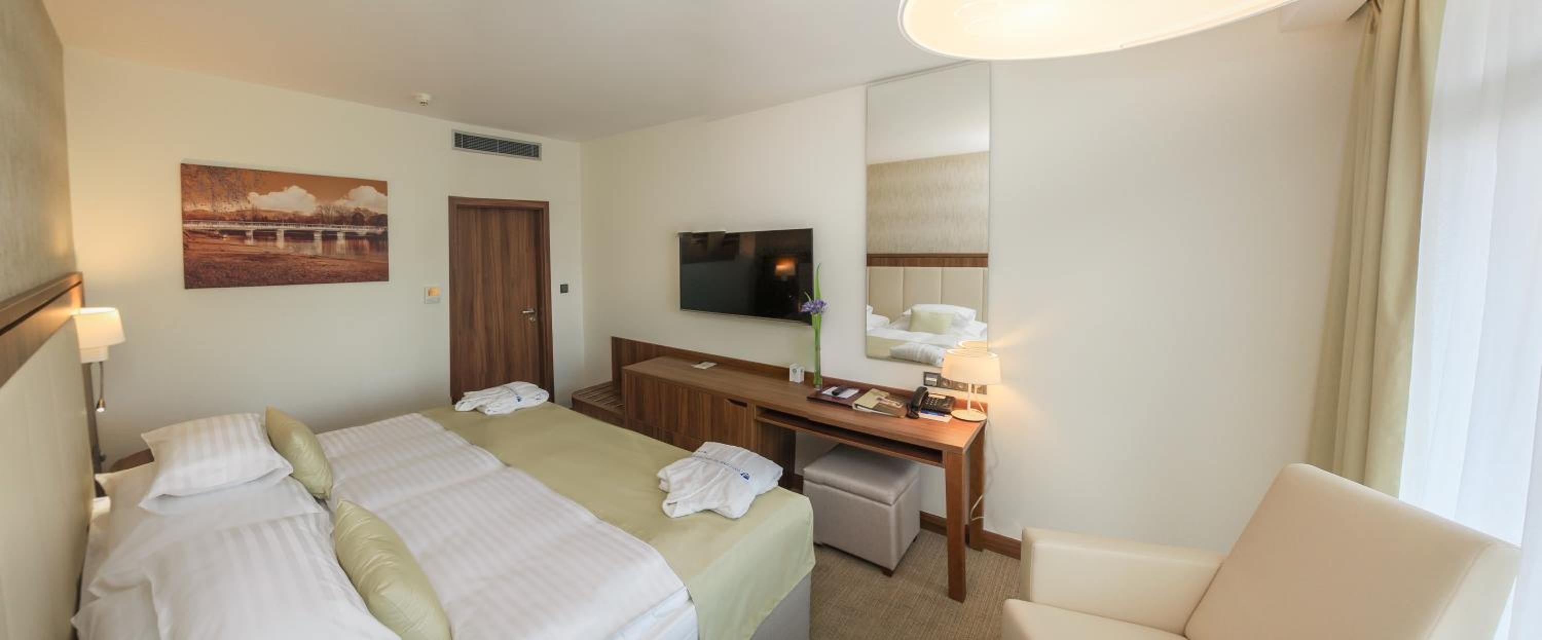 Premium Suite with Wellness Access - Photo 5