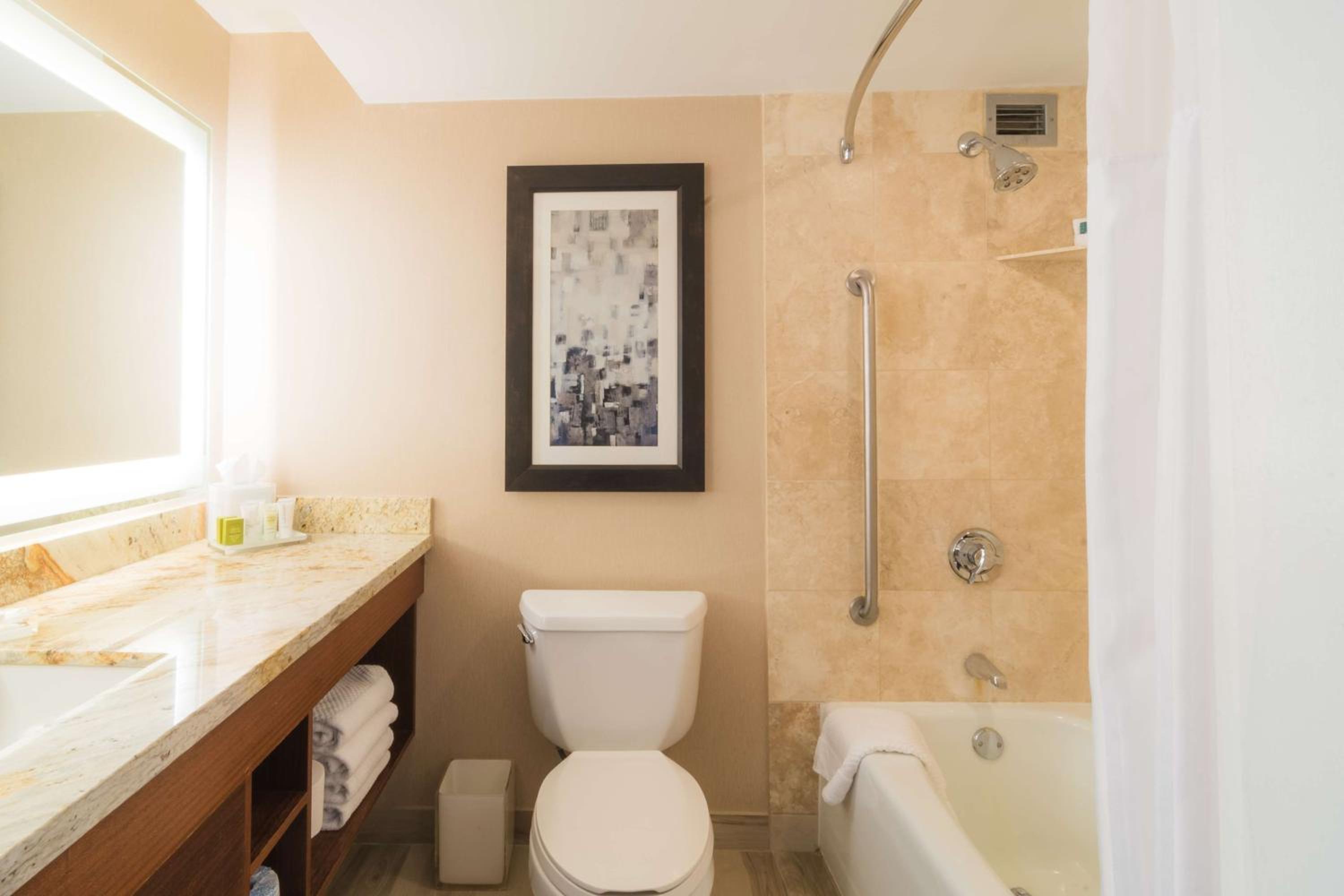 Executive King Room with Bath Tub - Mobility Accessible - Photo 3