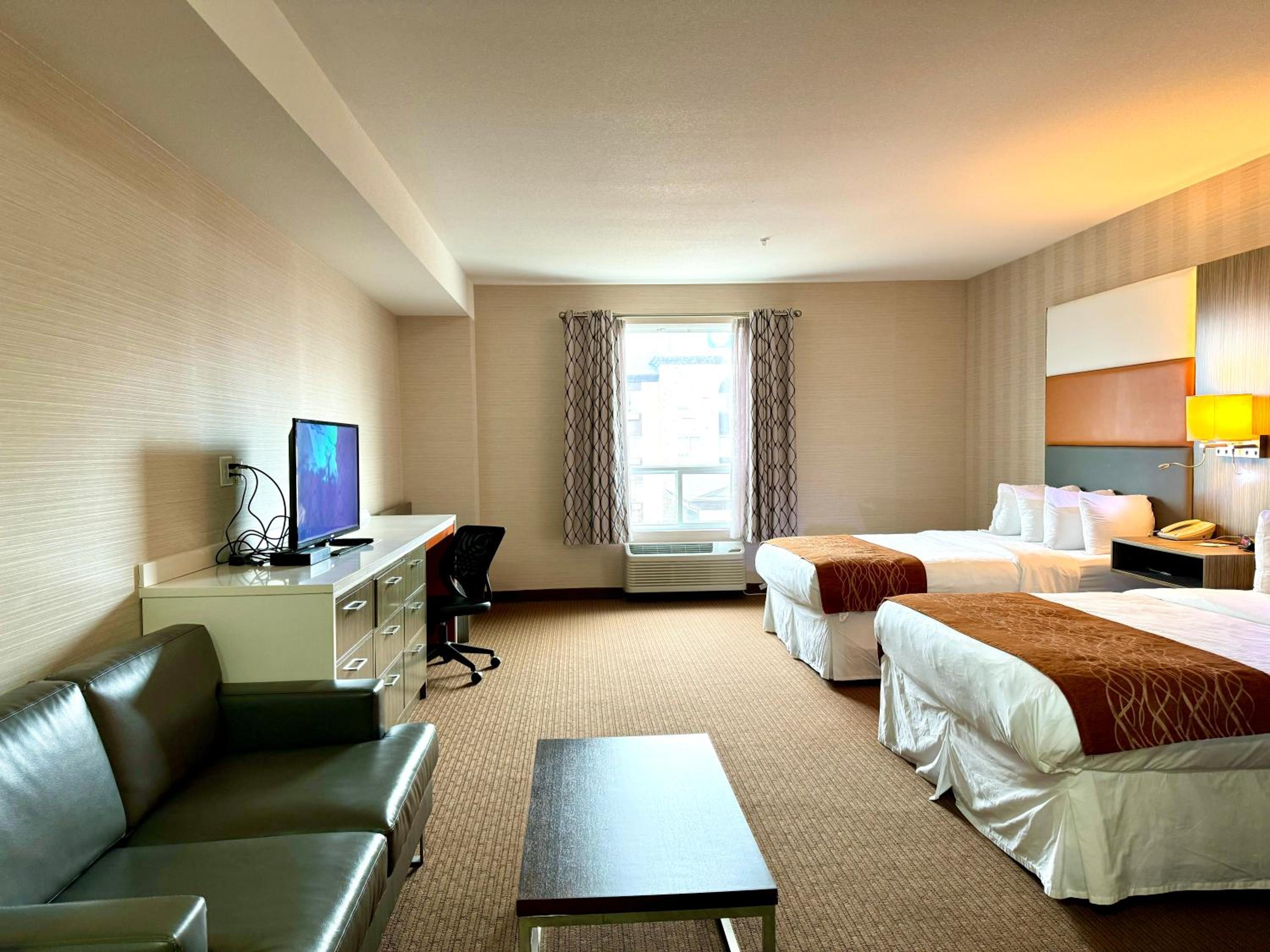 Queen Suite photo 3