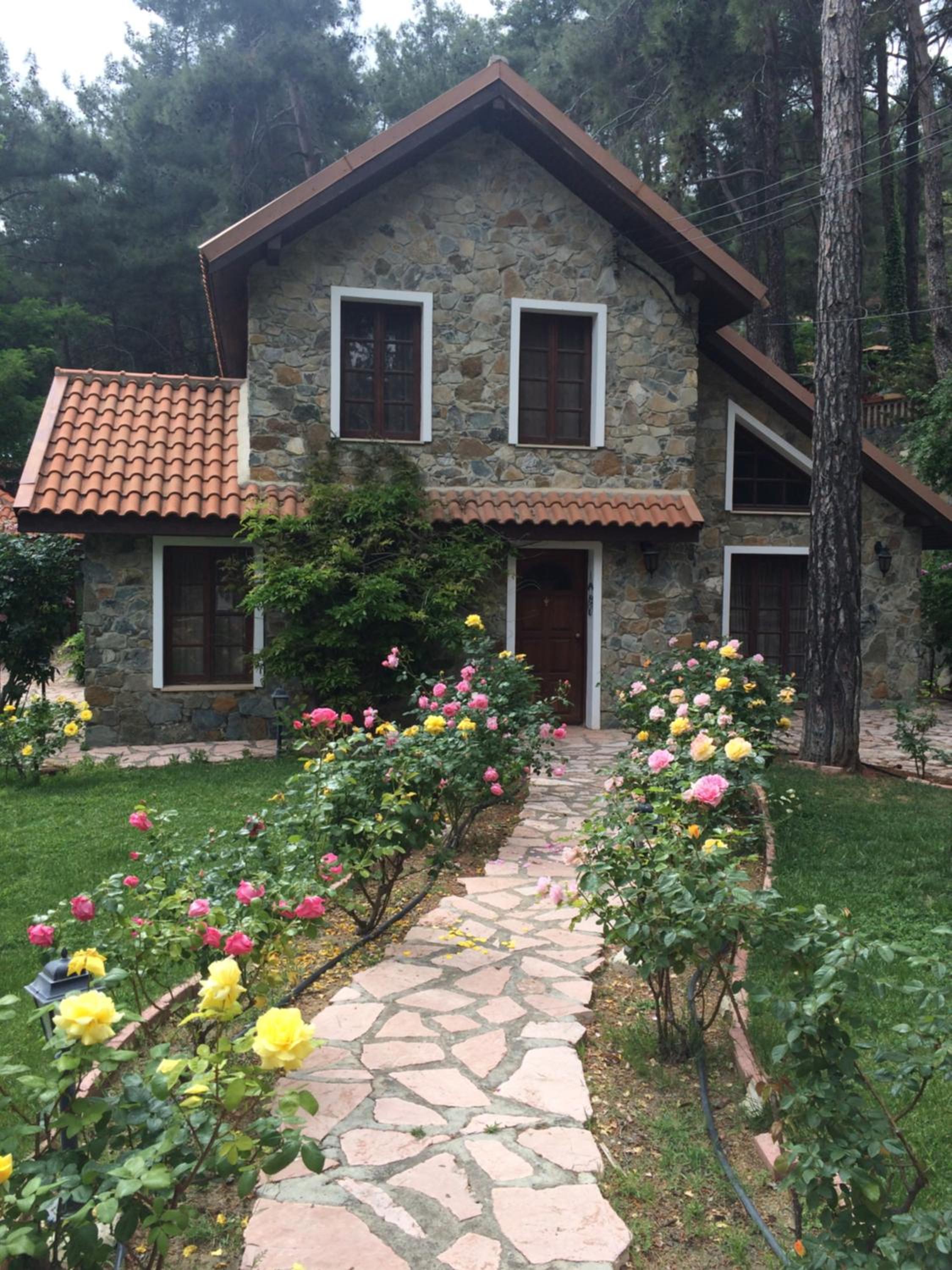 Deluxe Villa photo 3