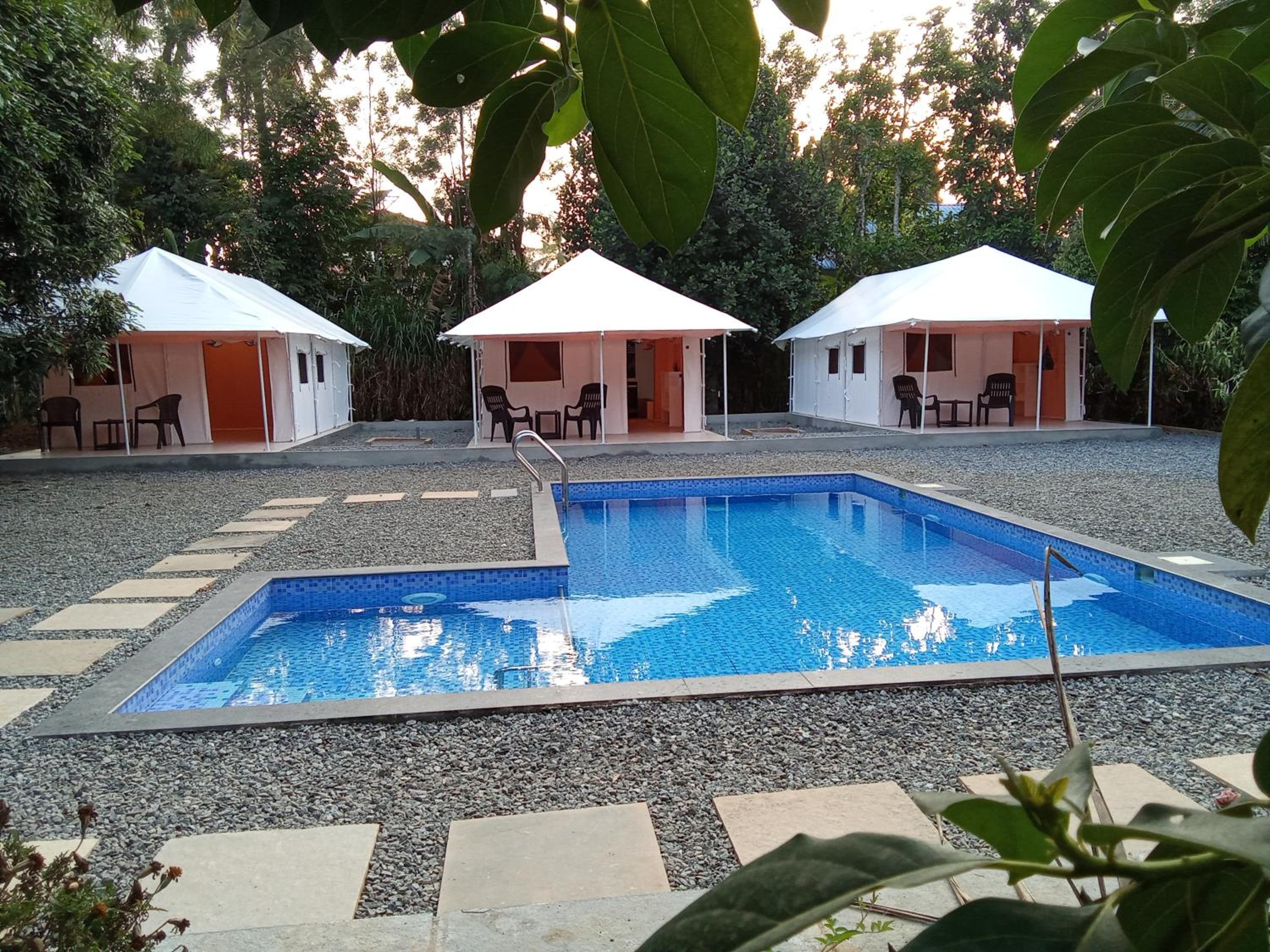 King Room with Pool View photo 3