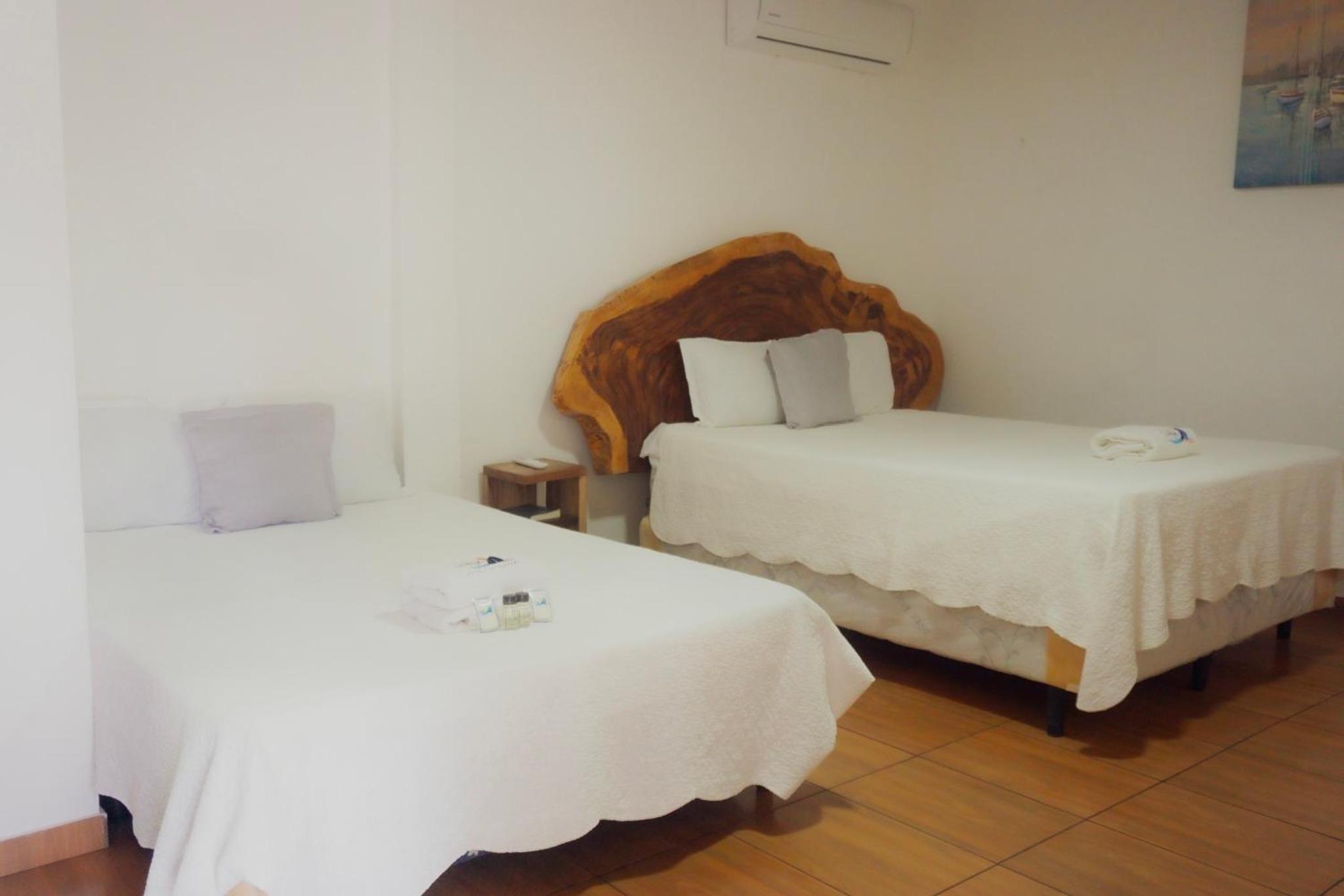 Twin Room photo 3
