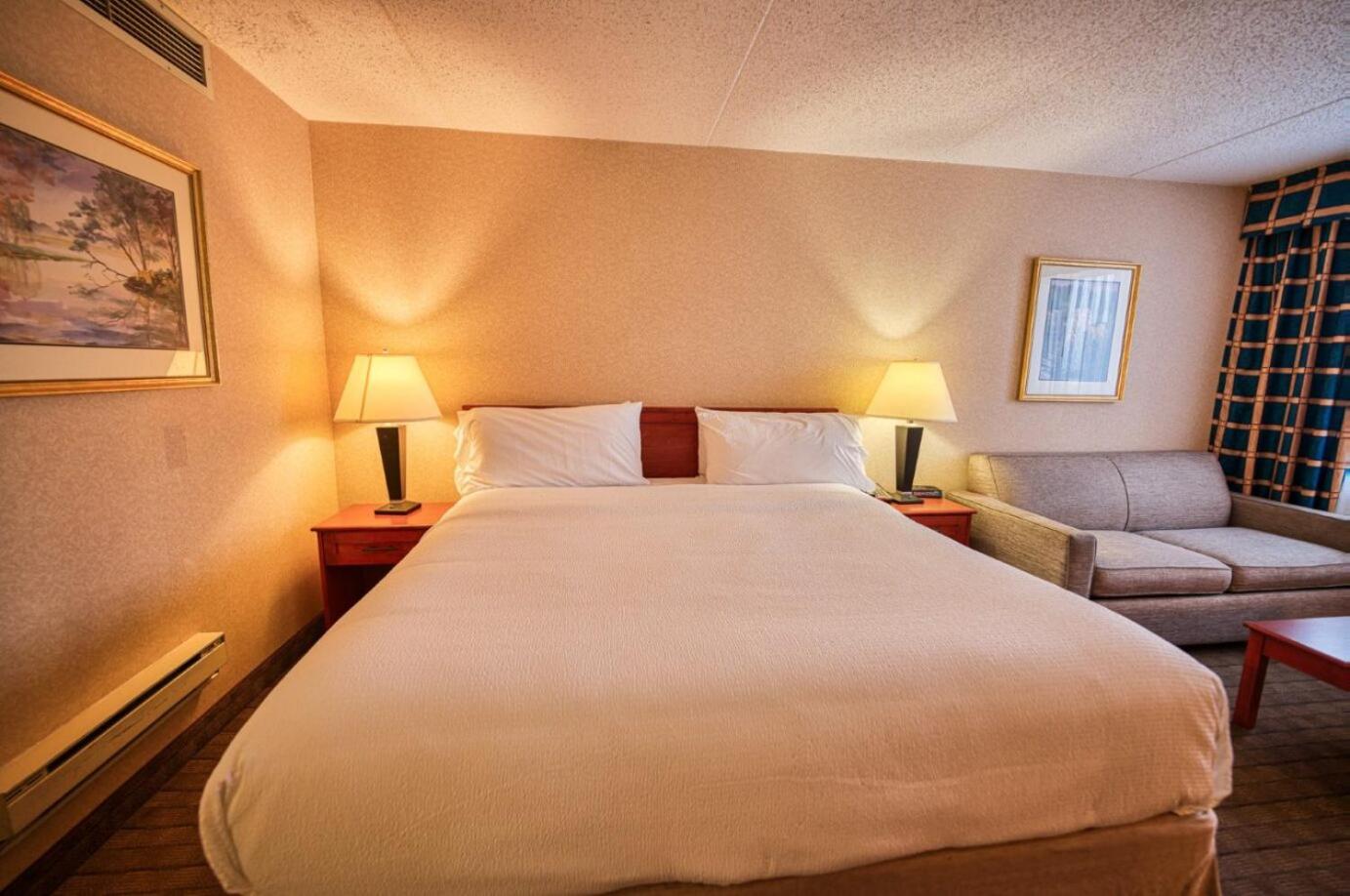 Double Room - Disability Access photo 1