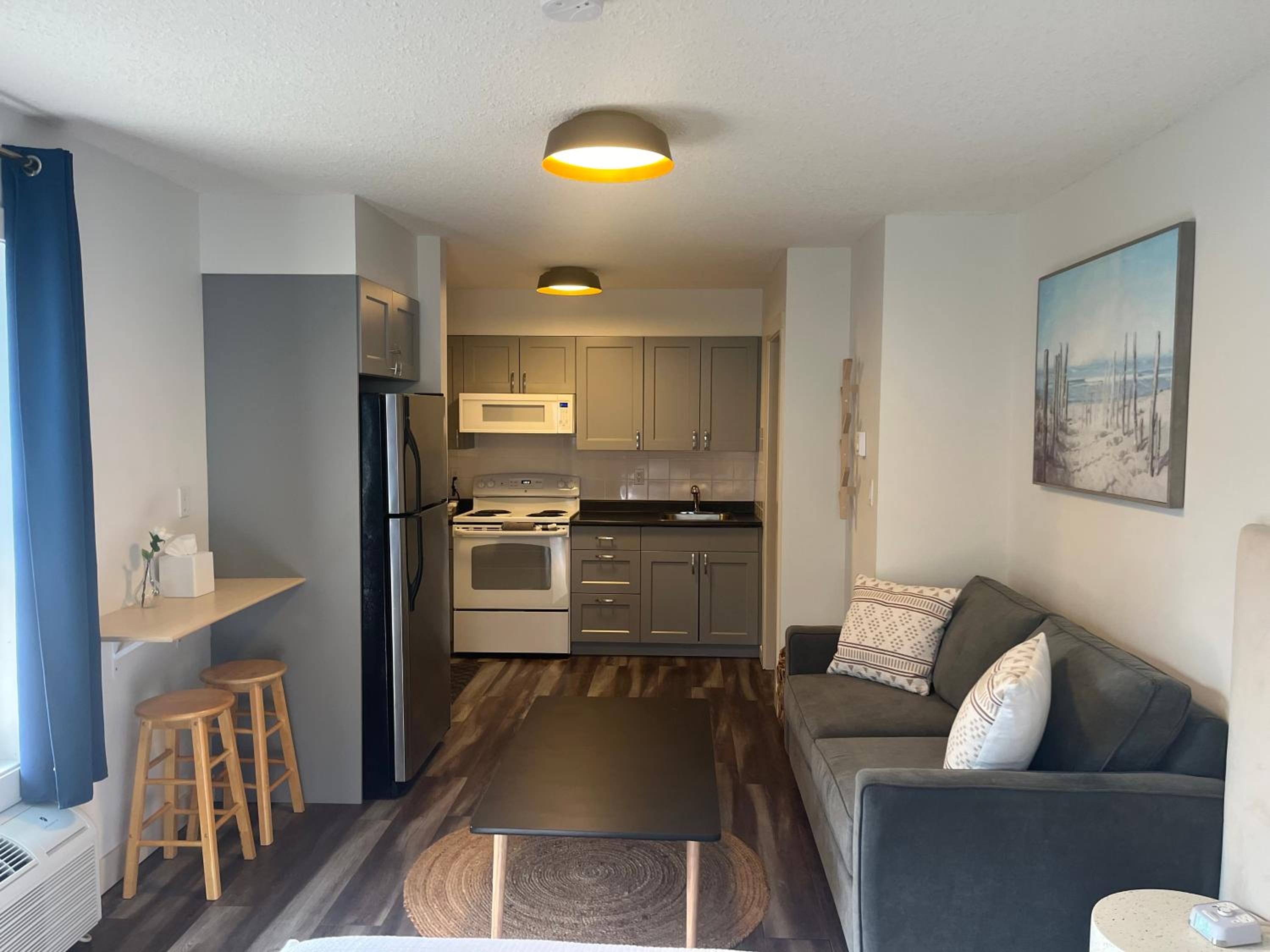 Deluxe King Suite photo 1
