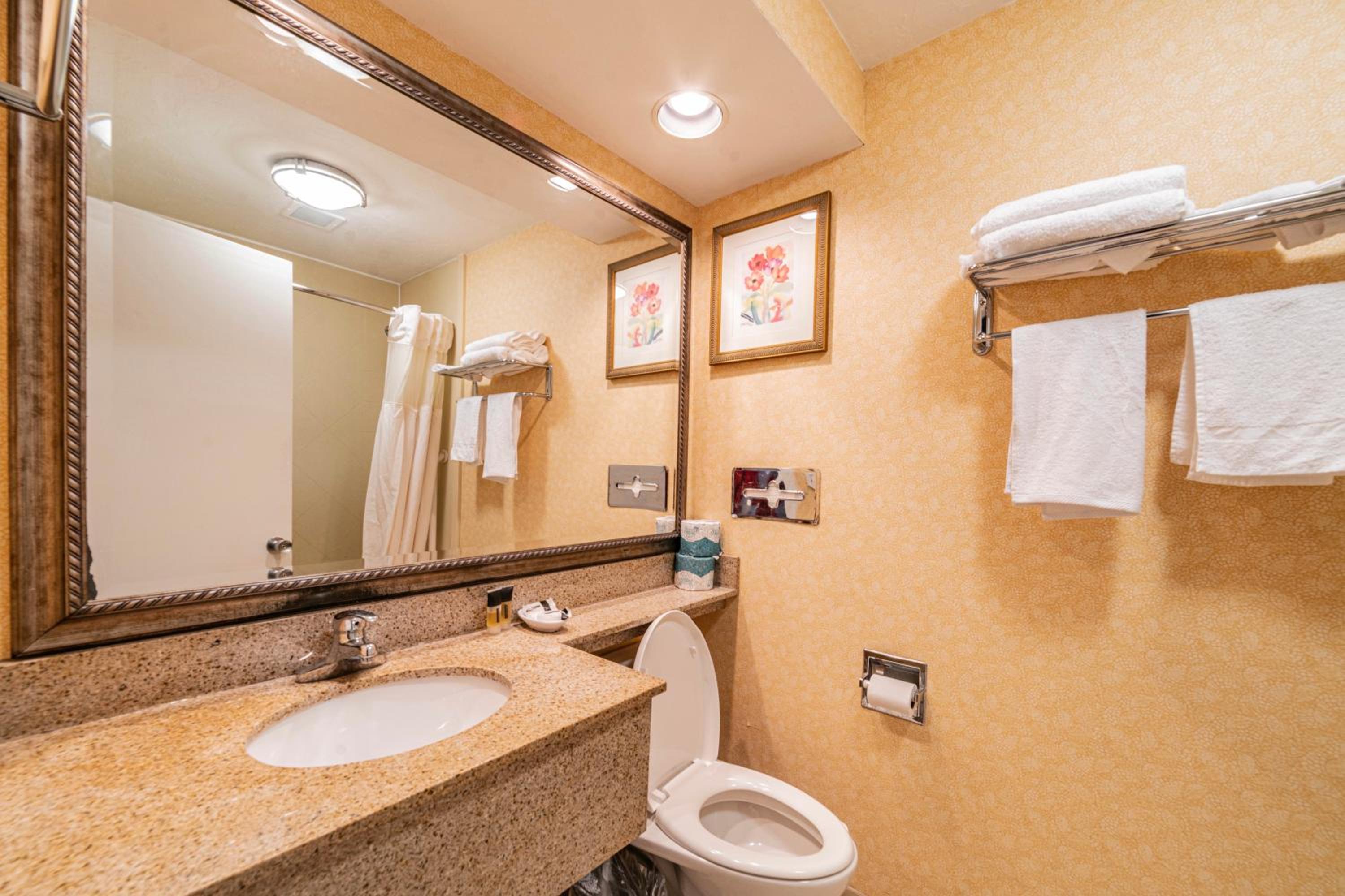 One-Bedroom Apartment - Photo 11