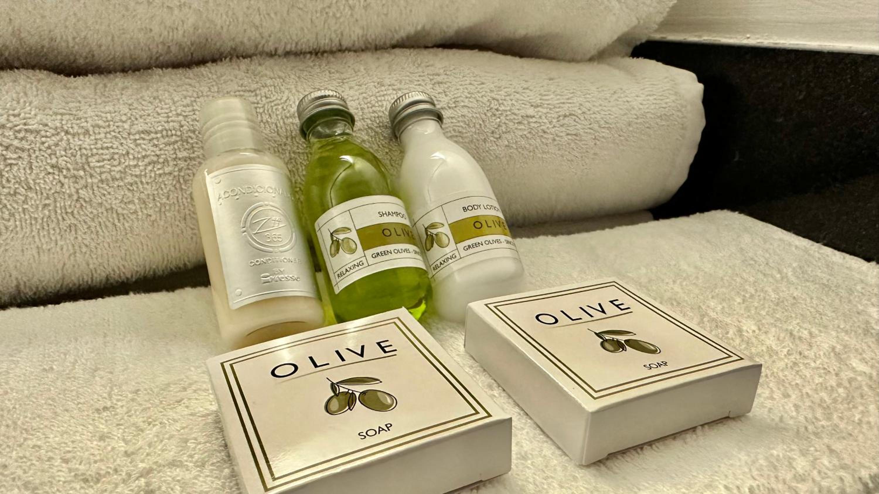 Deluxe Suite - Photo 9