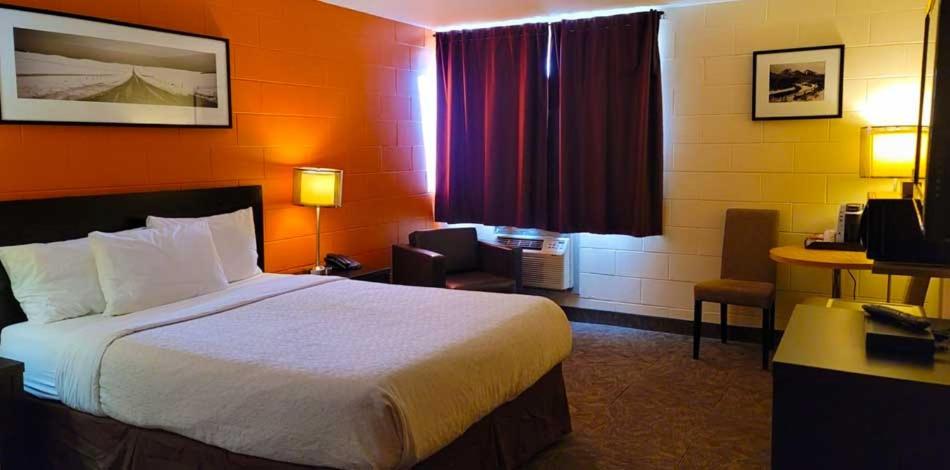 Standard Quadruple Room - Non Pet Friendly - Photo 2