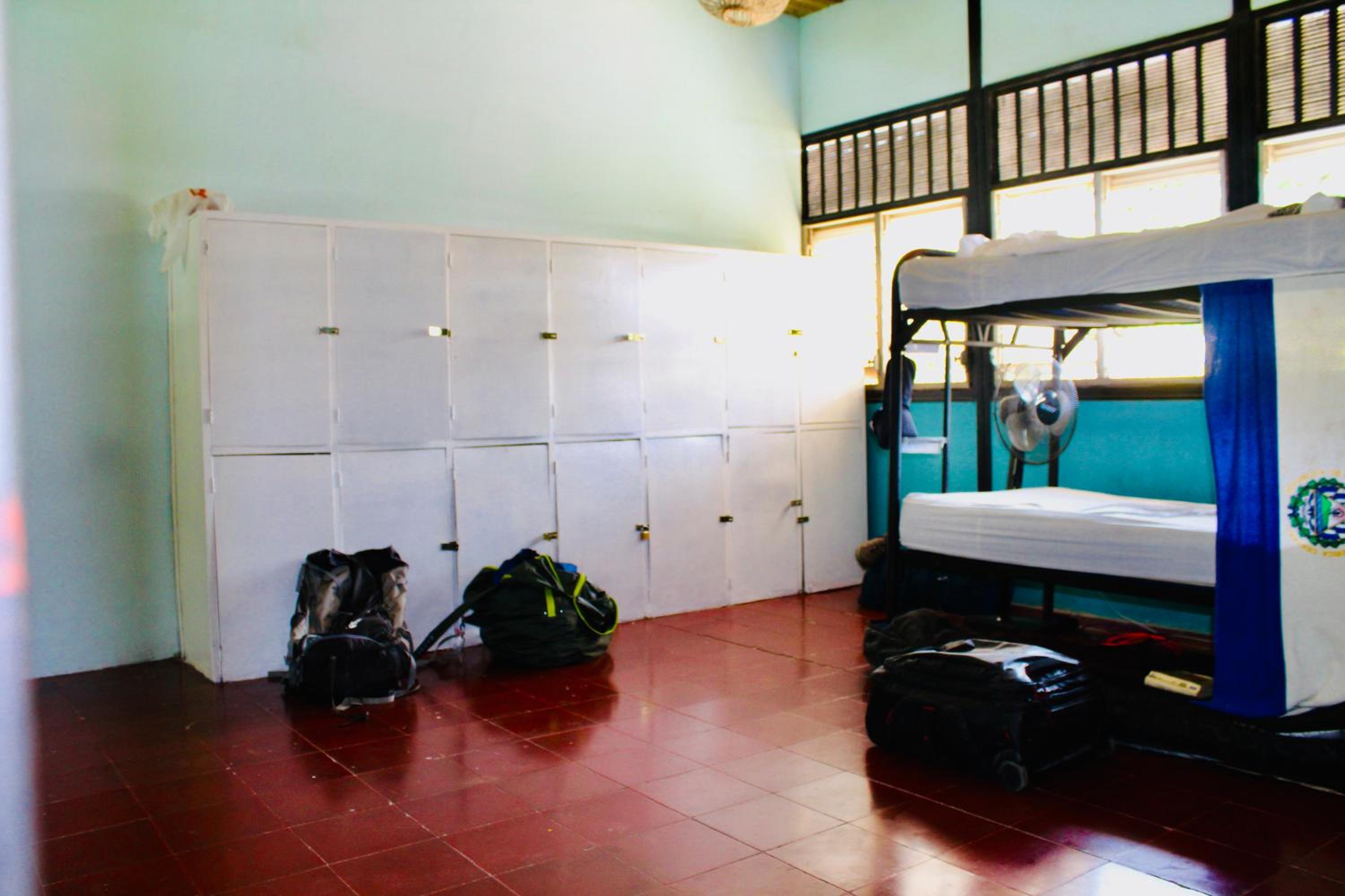 Single Bed in Mixed Dormitory Room photo 1