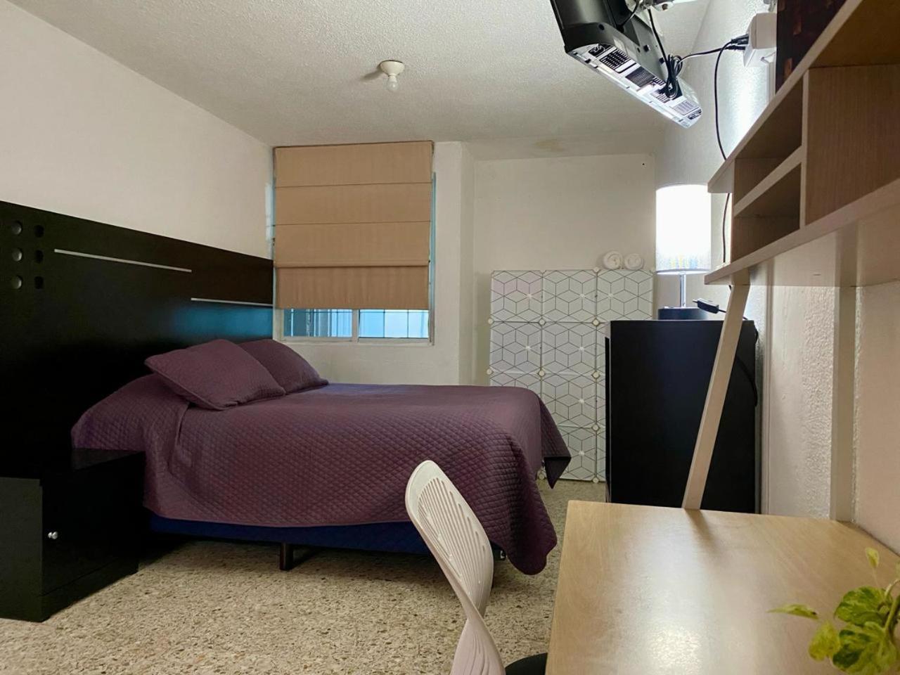 One-Bedroom House photo 2