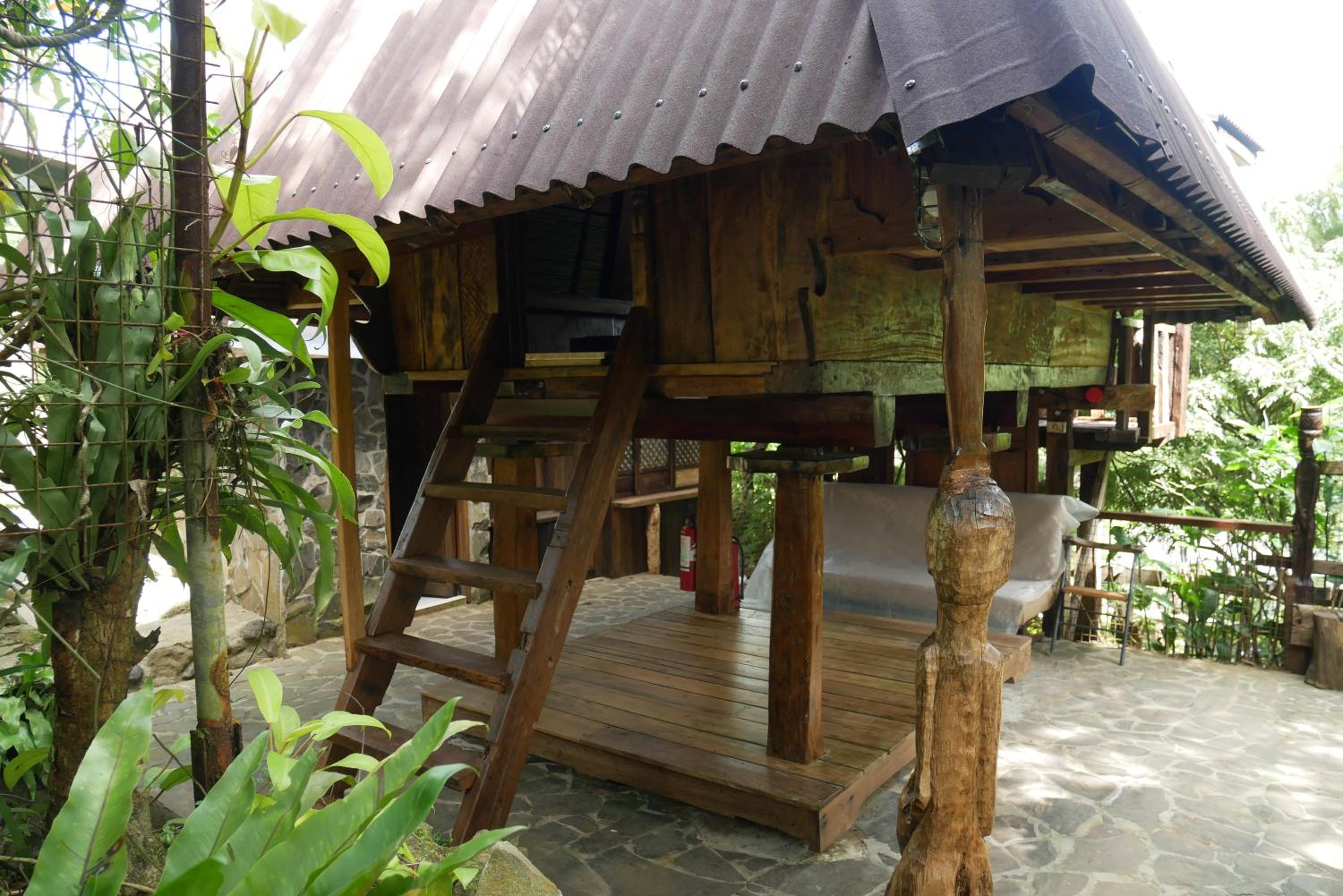 Double Room With Garden View photo 1