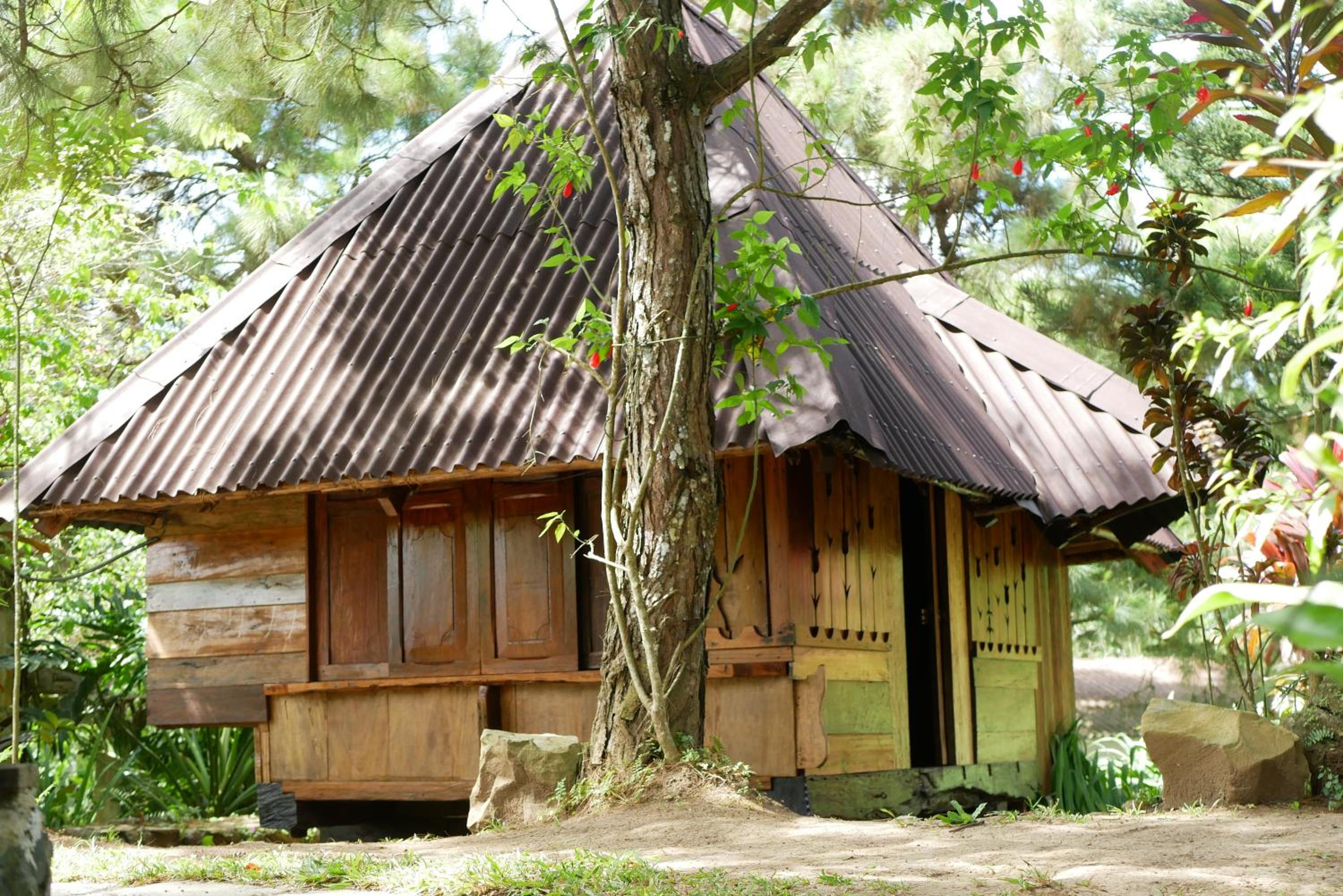 Double Room With Garden View photo 2