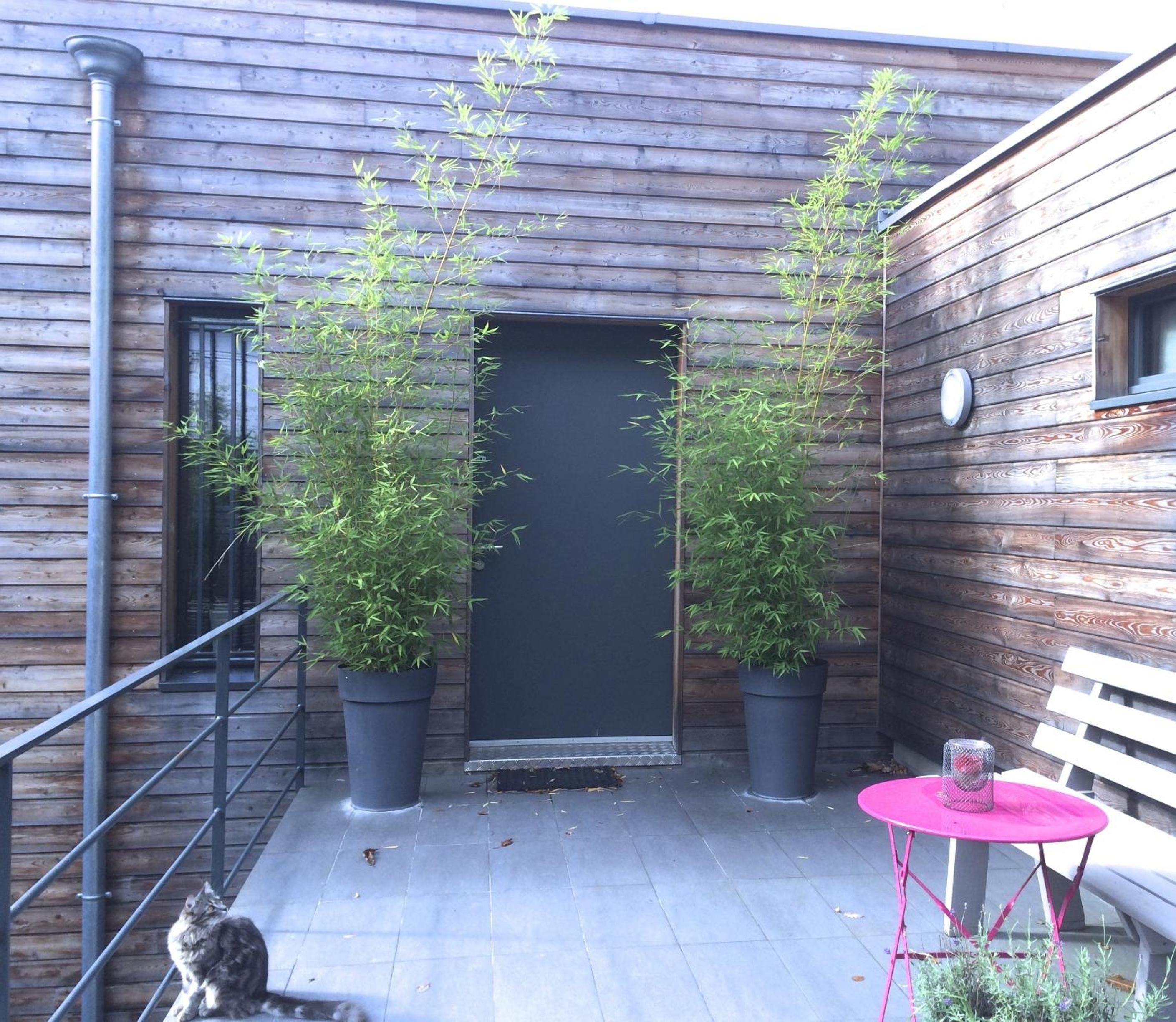 Cottage (2 Adults)