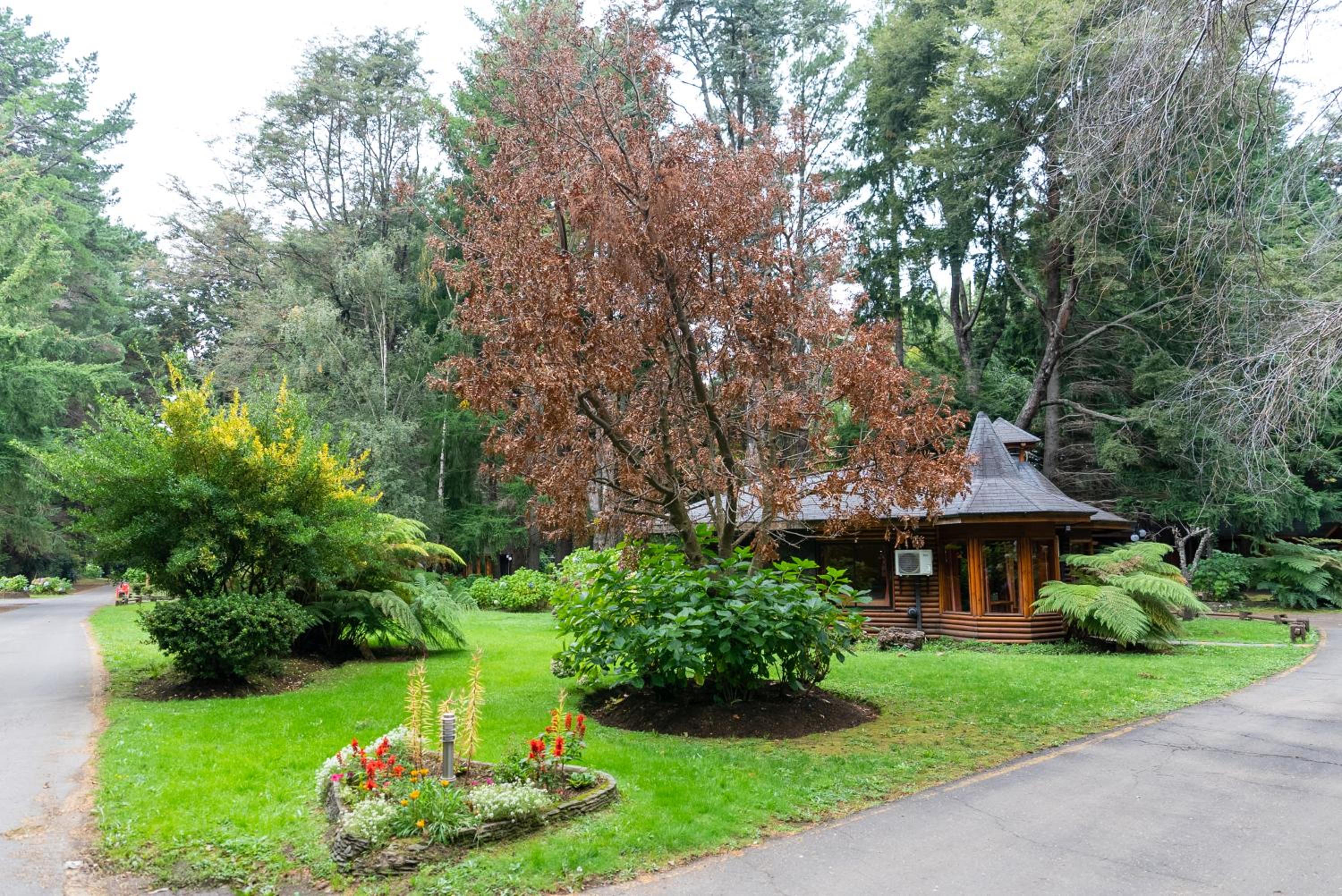 Family Bungalow photo 2