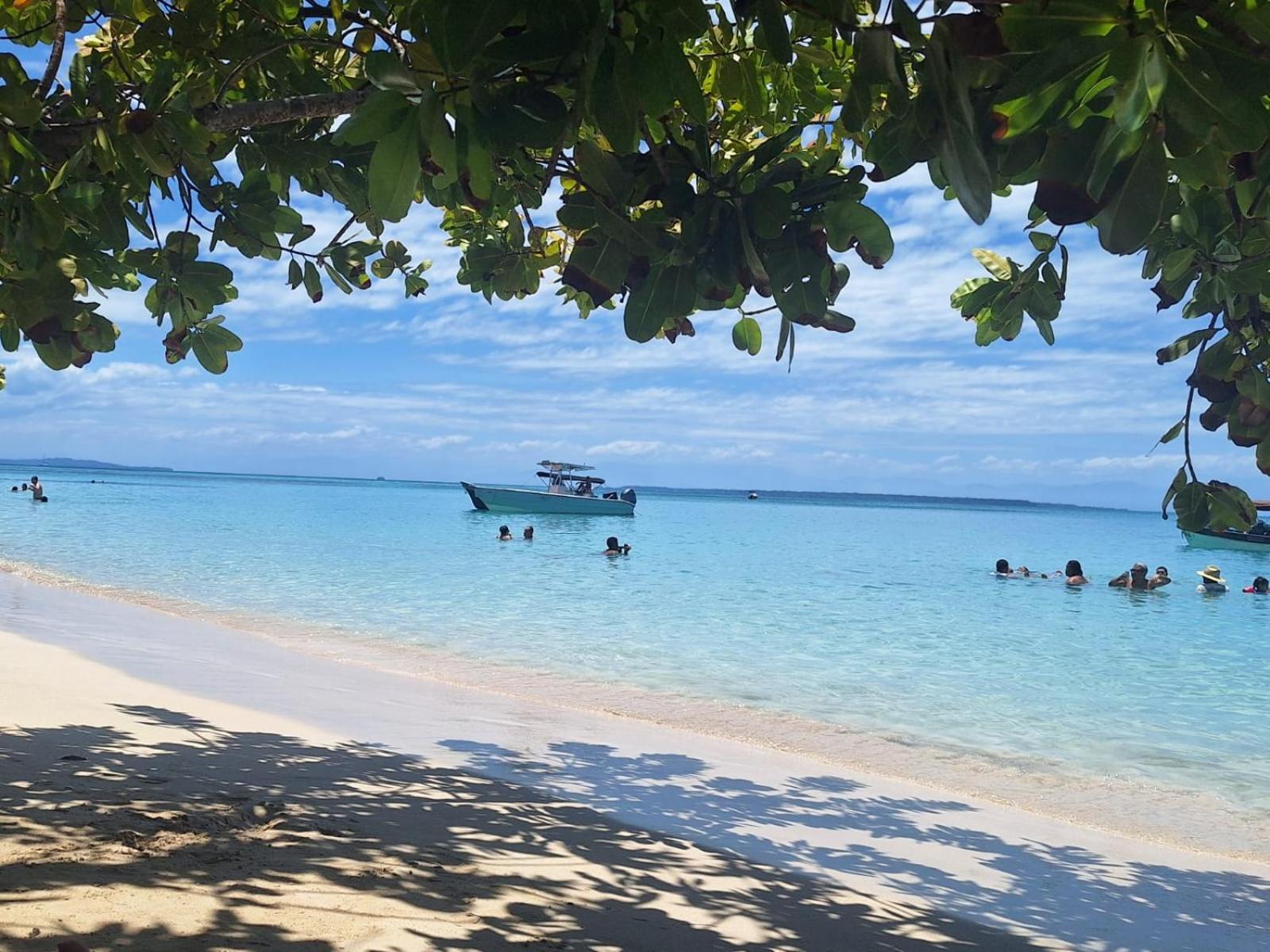 Three-Bedroom House photo 2