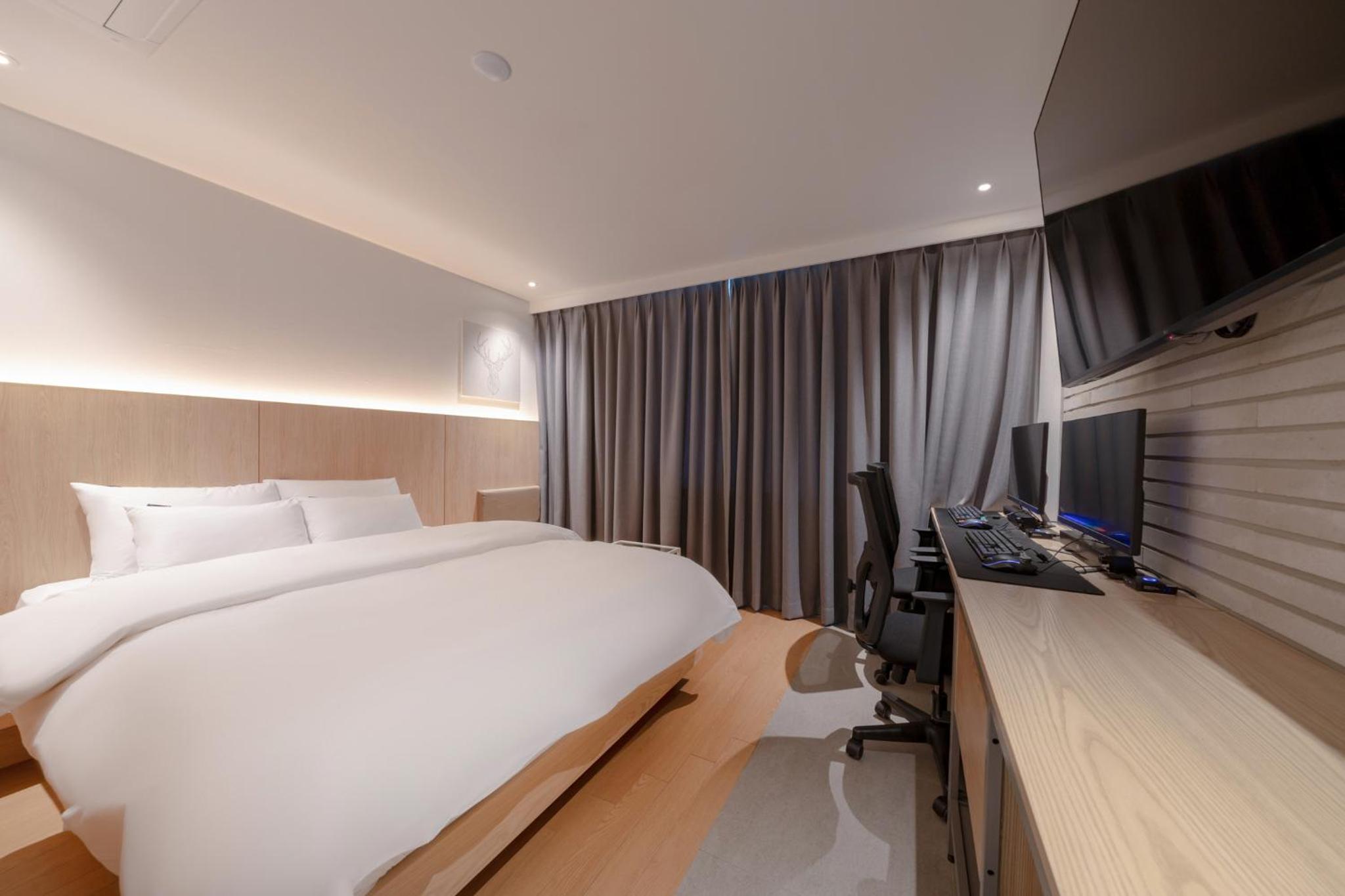 Suite - Photo 1