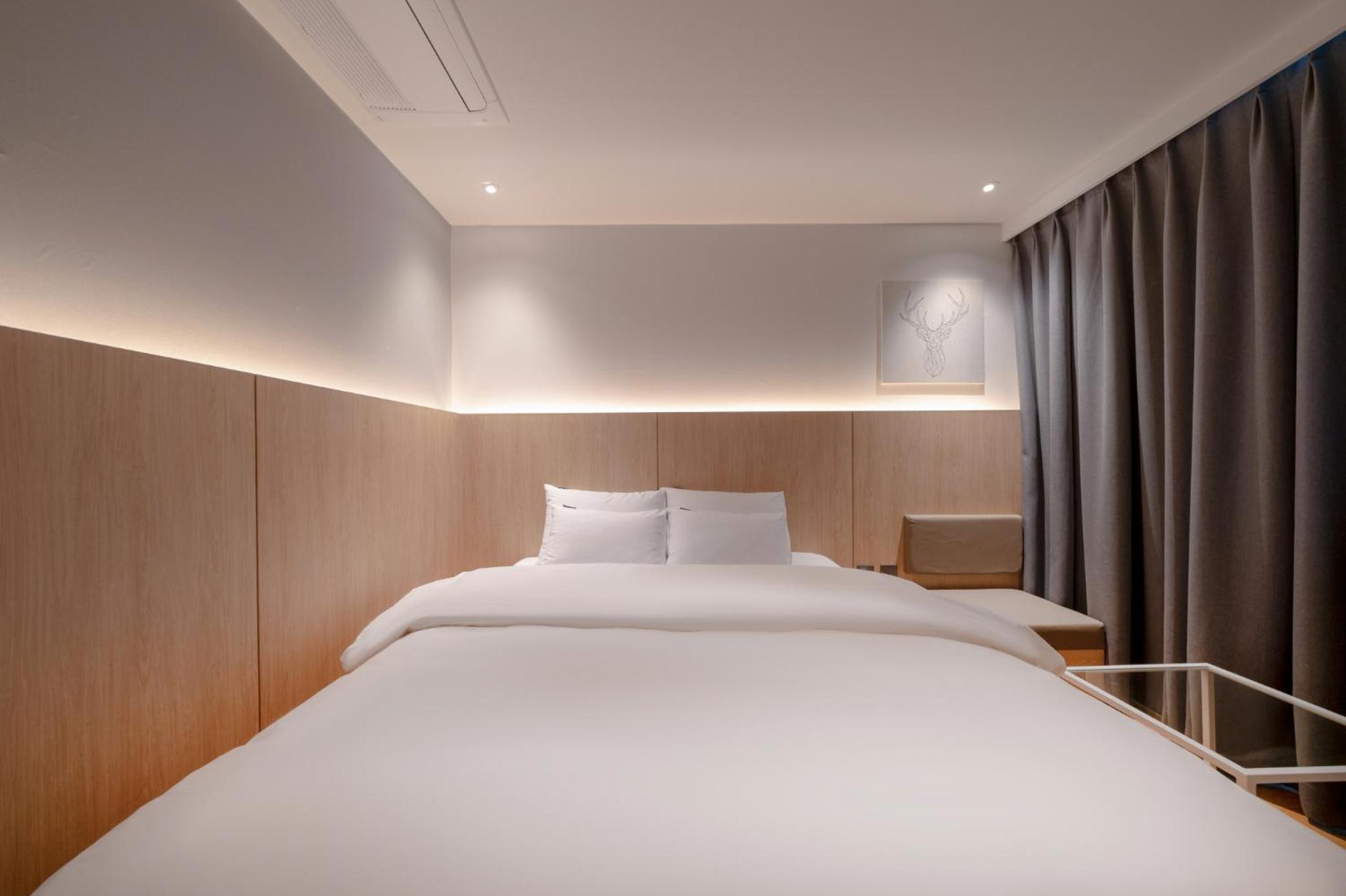 Suite - Photo 2