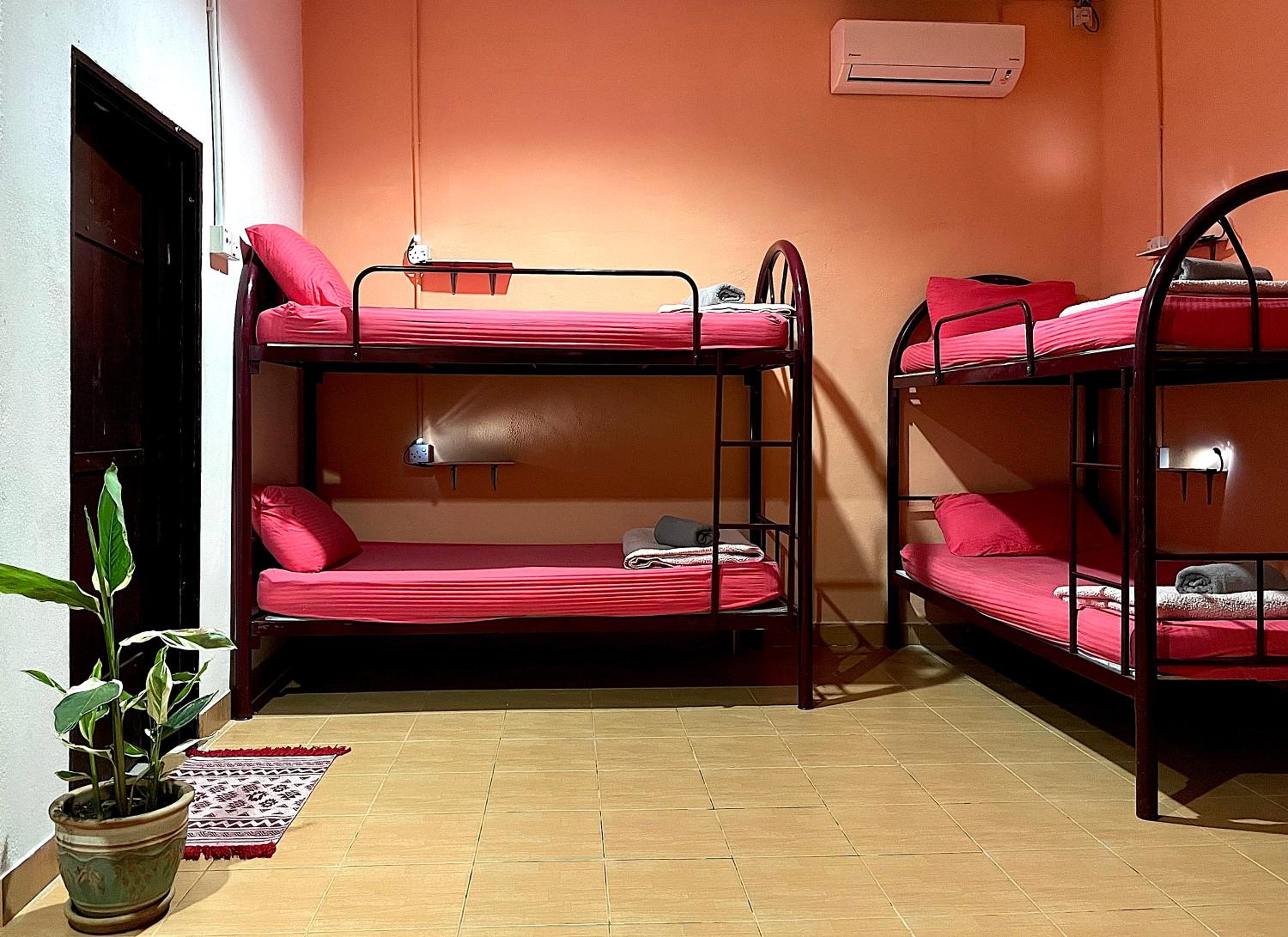 Bunk Bed in Mixed Dormitory Room photo 2
