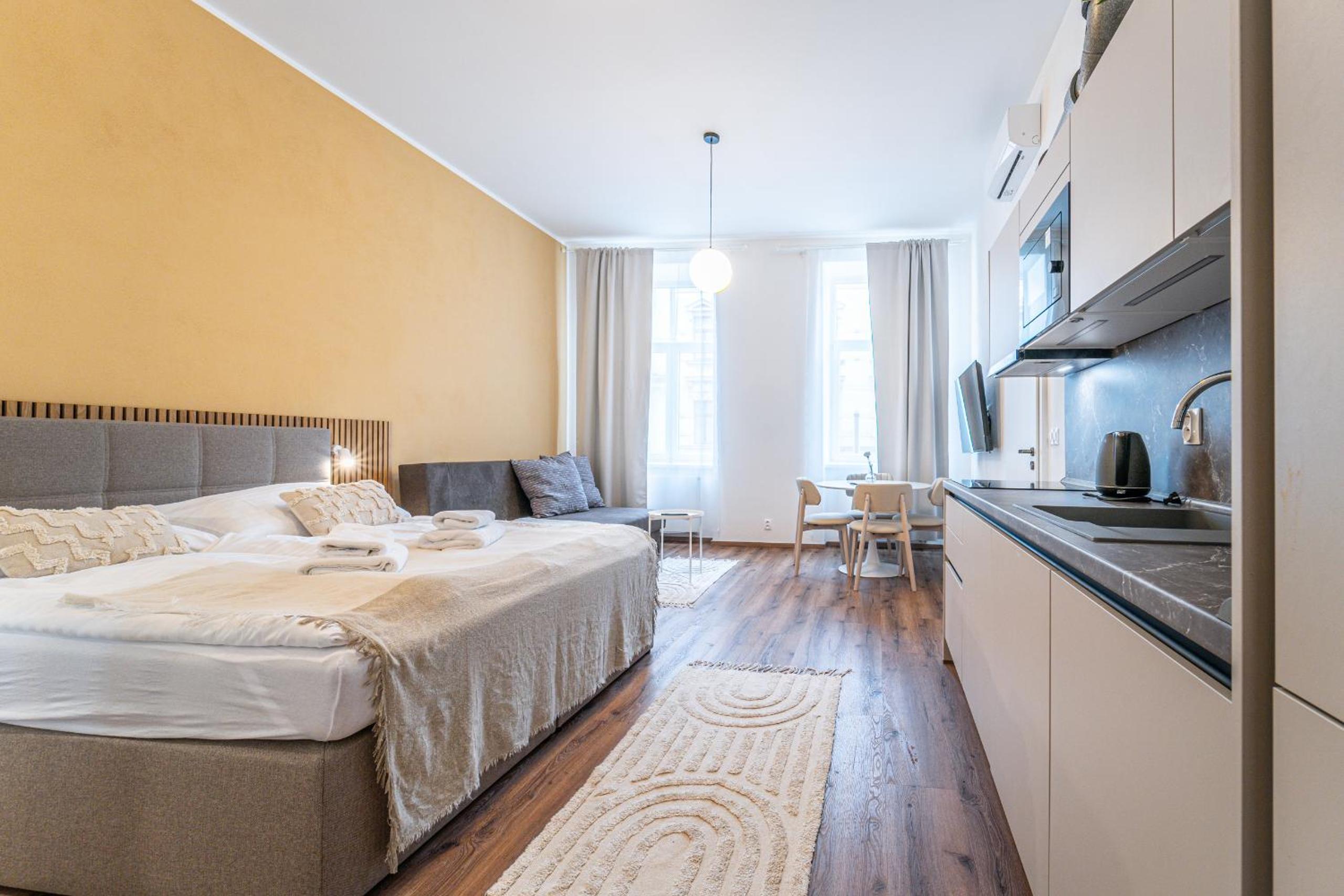 Studio Apartment photo 1