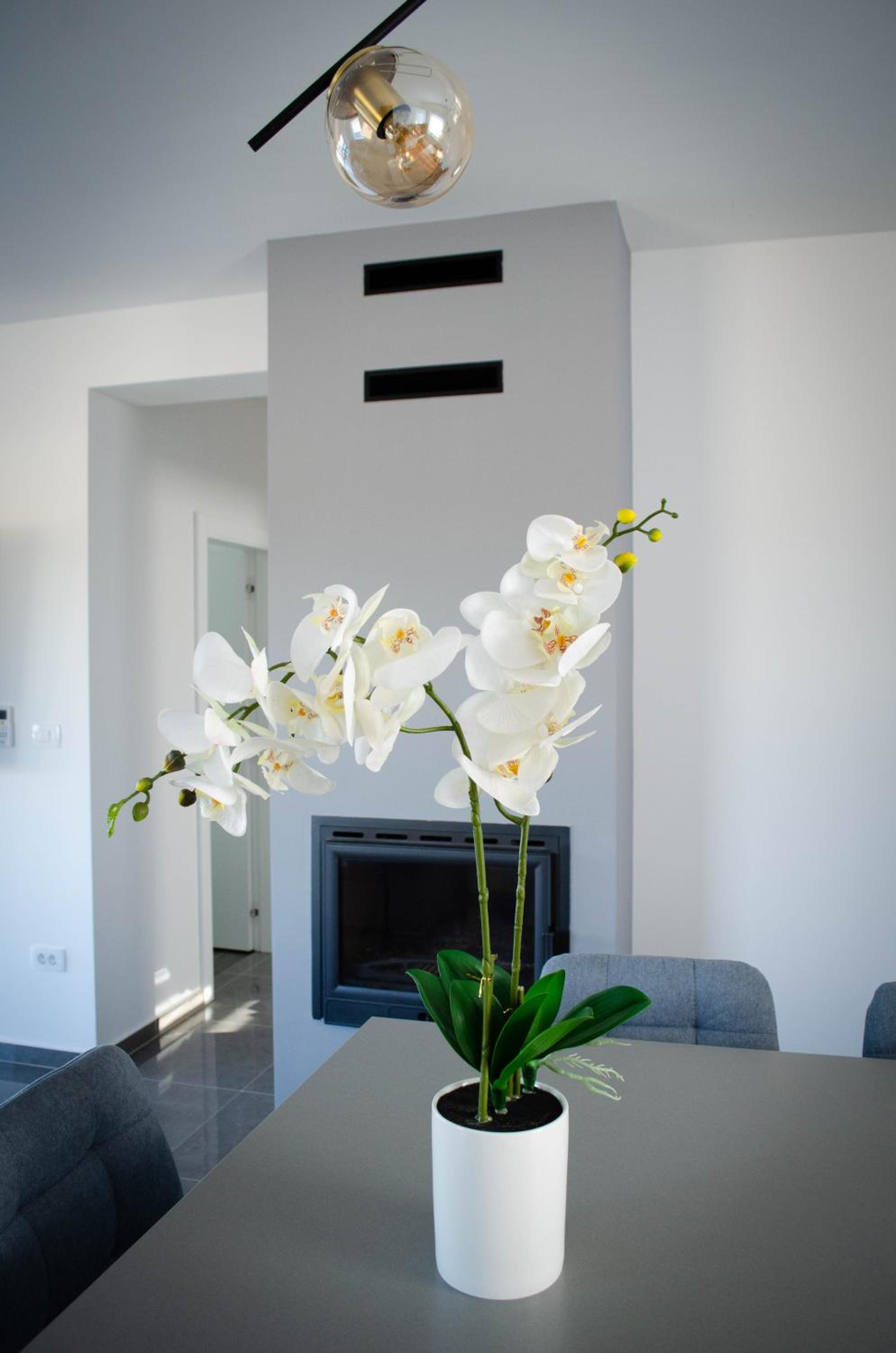 Two-Bedroom House photo 3