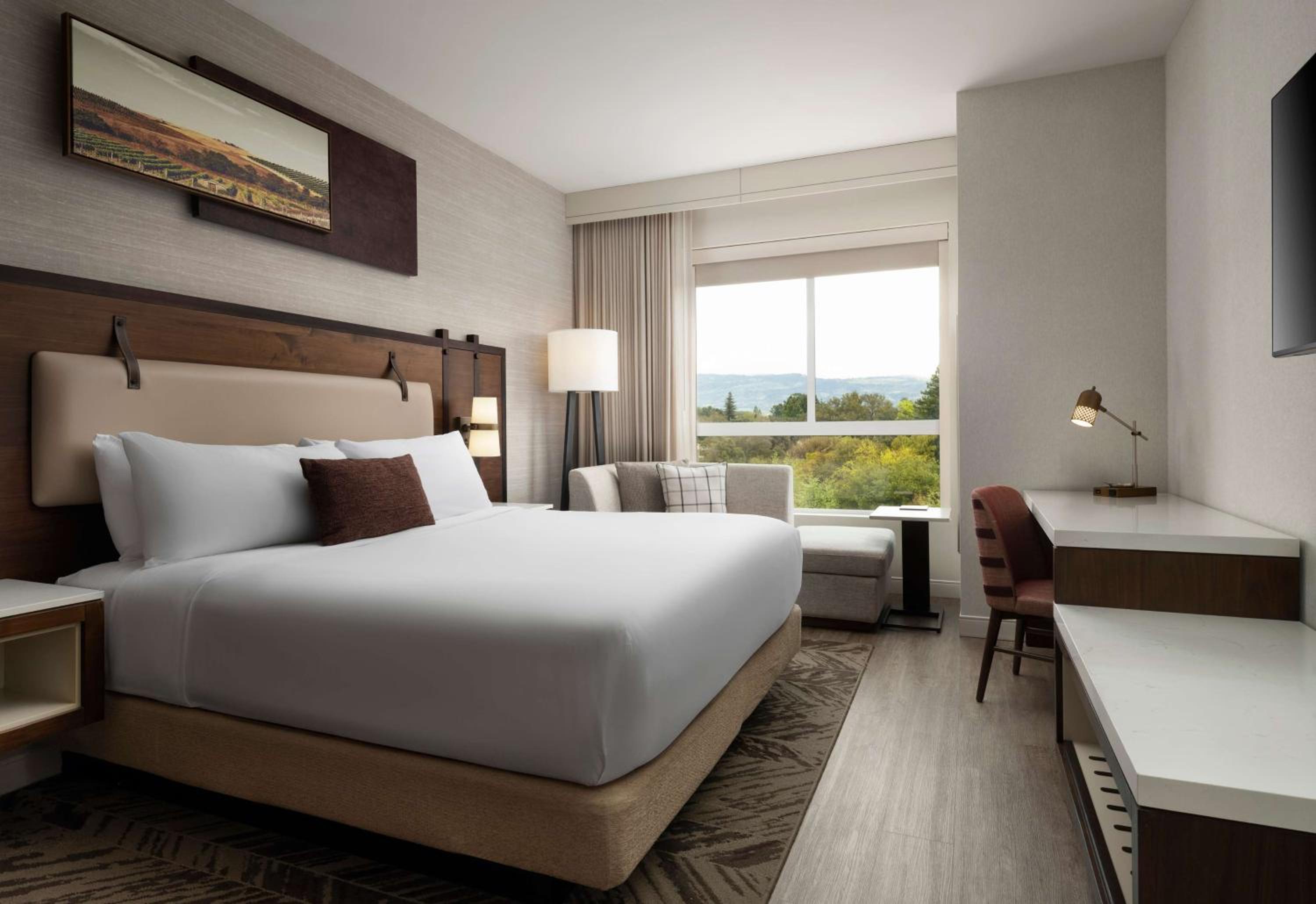 King Room - Photo 5