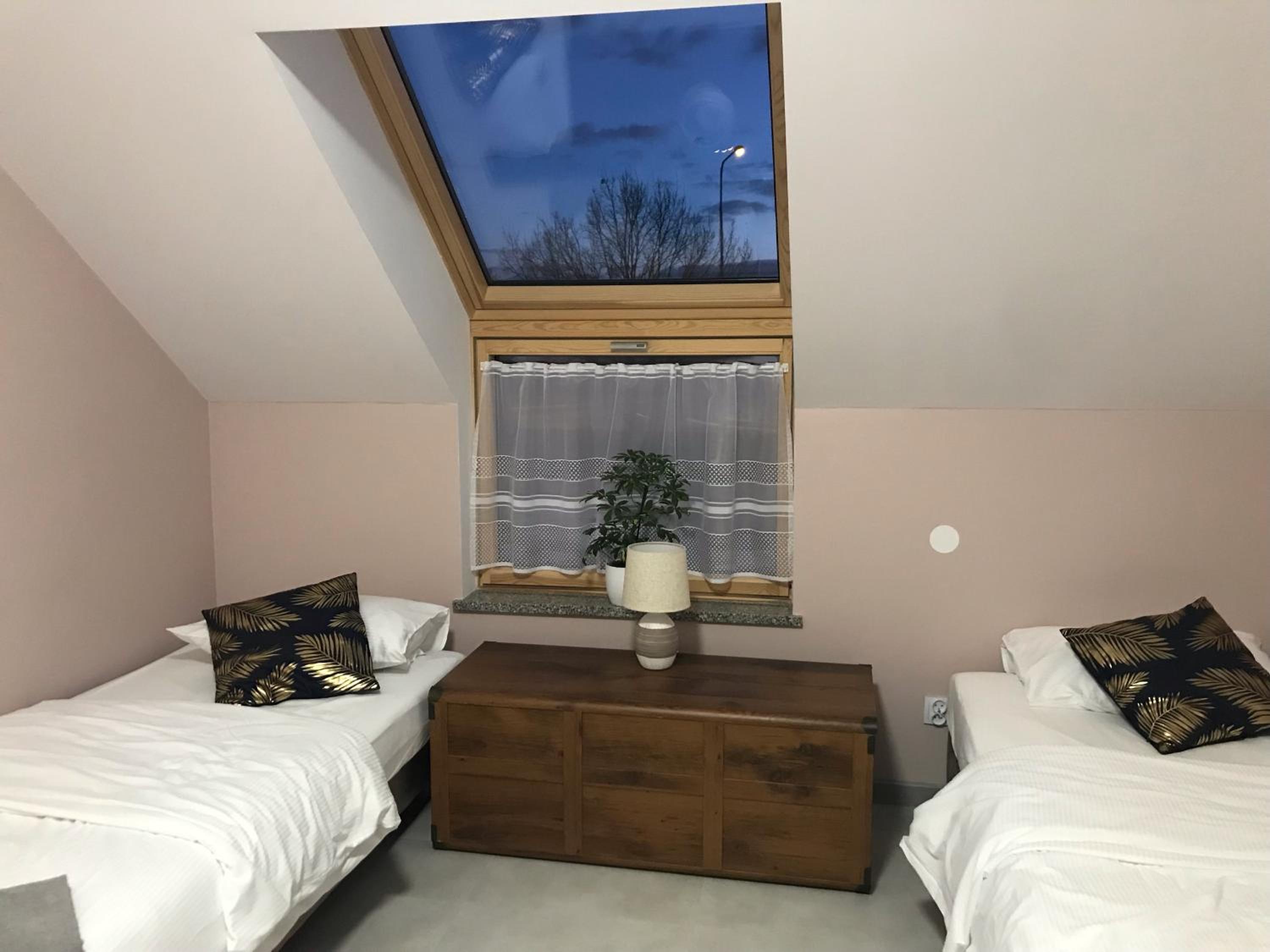 Twin Room photo 3