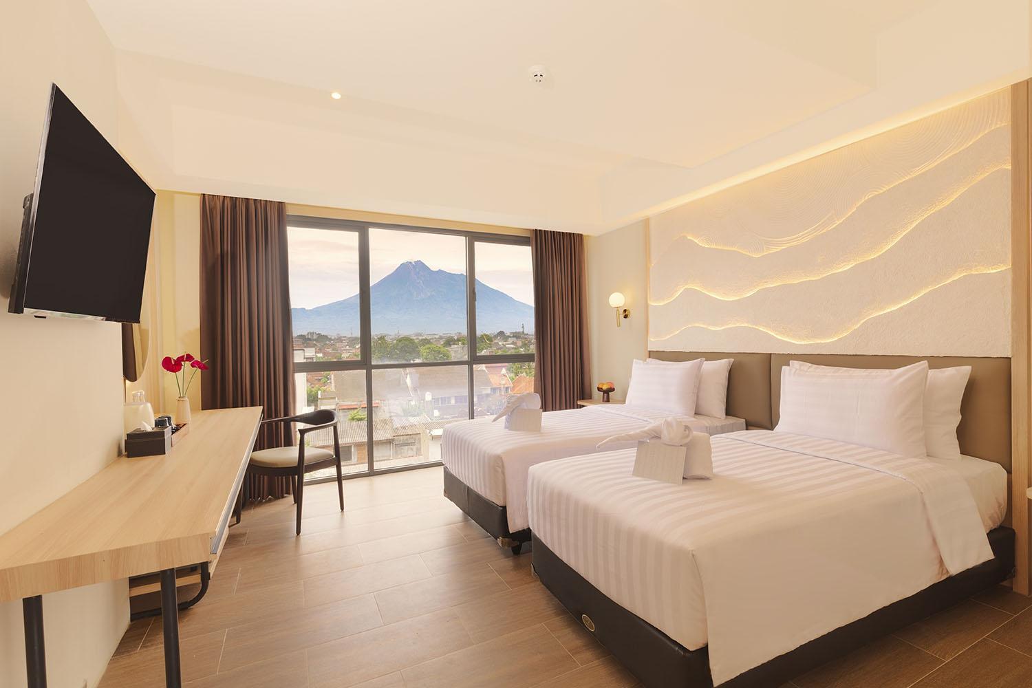 Deluxe Double or Twin Room with Mountain View