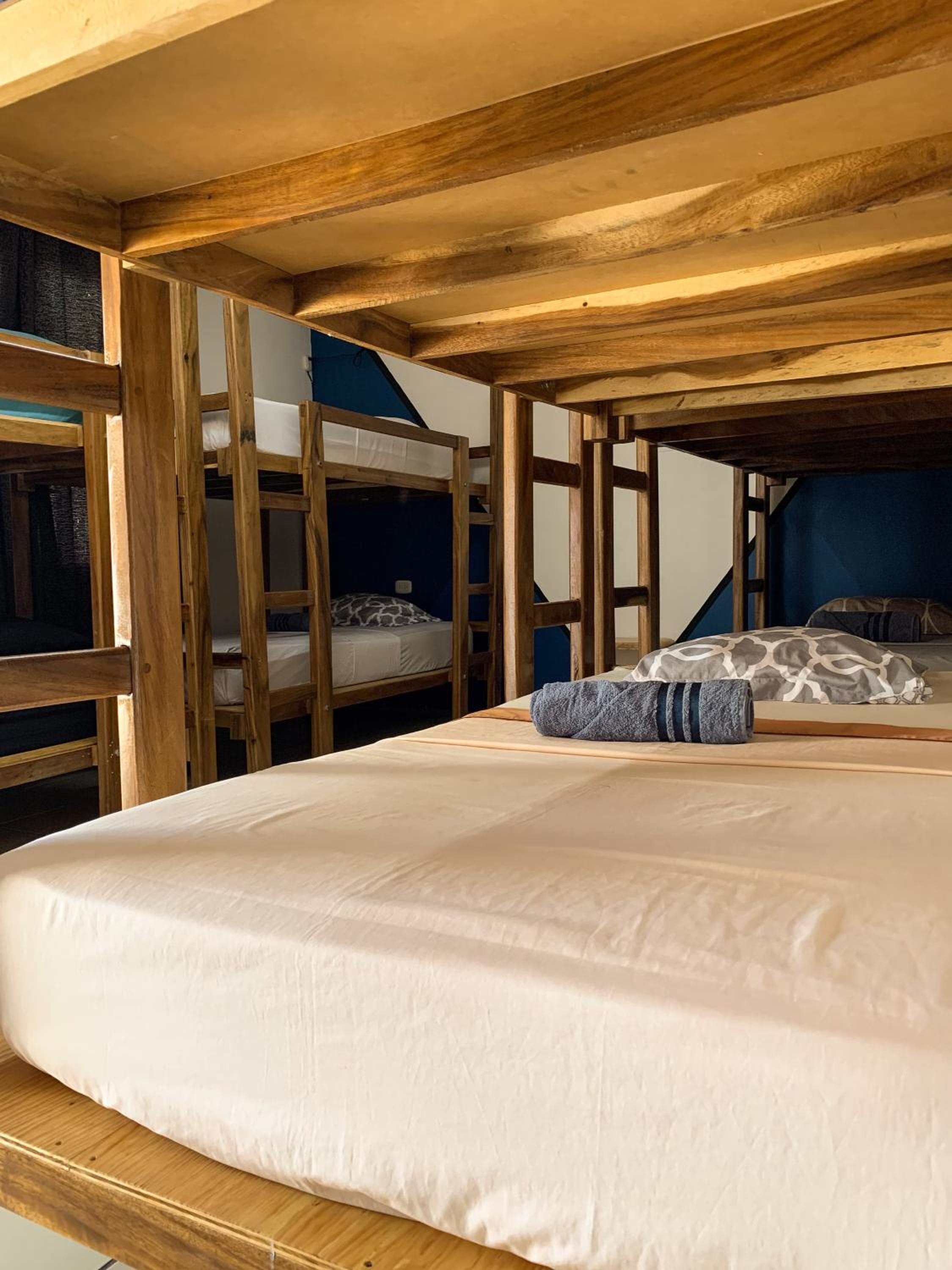 Bunk Bed In Mixed Dormitory Room photo 3