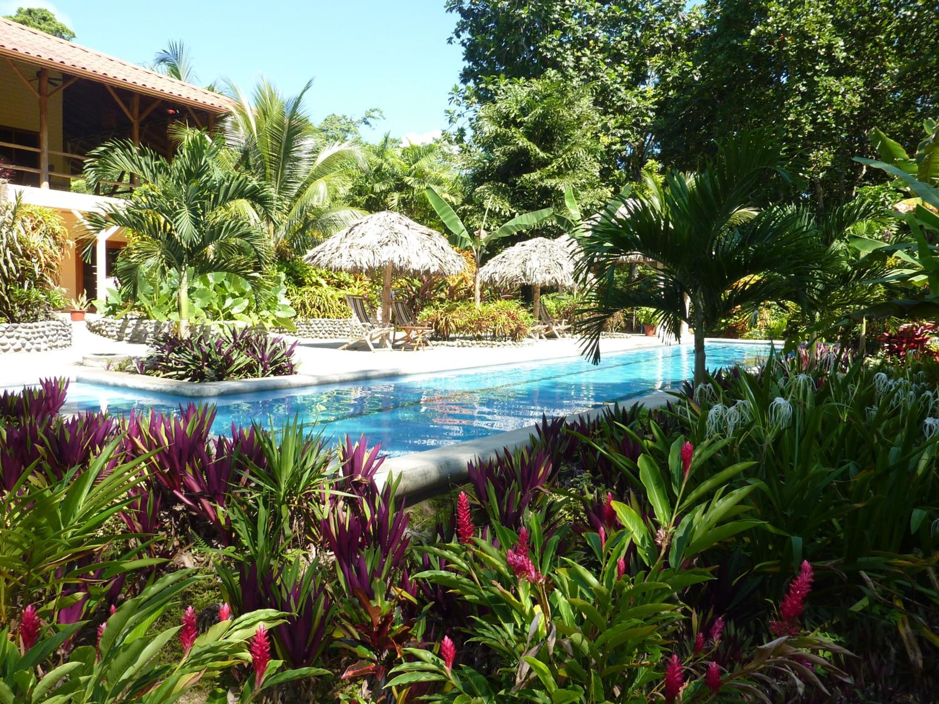 Deluxe Triple Poolside Room with Ocean View