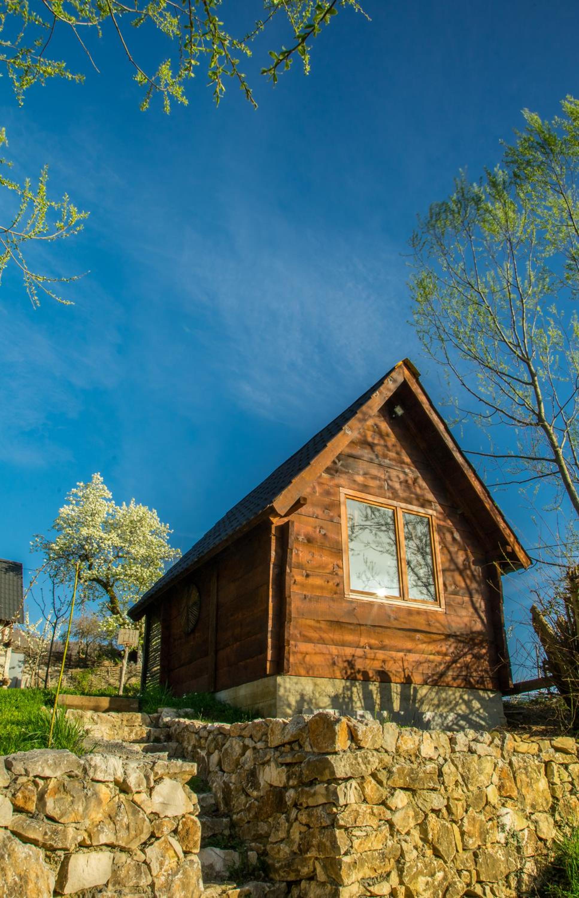One-Bedroom House photo 3