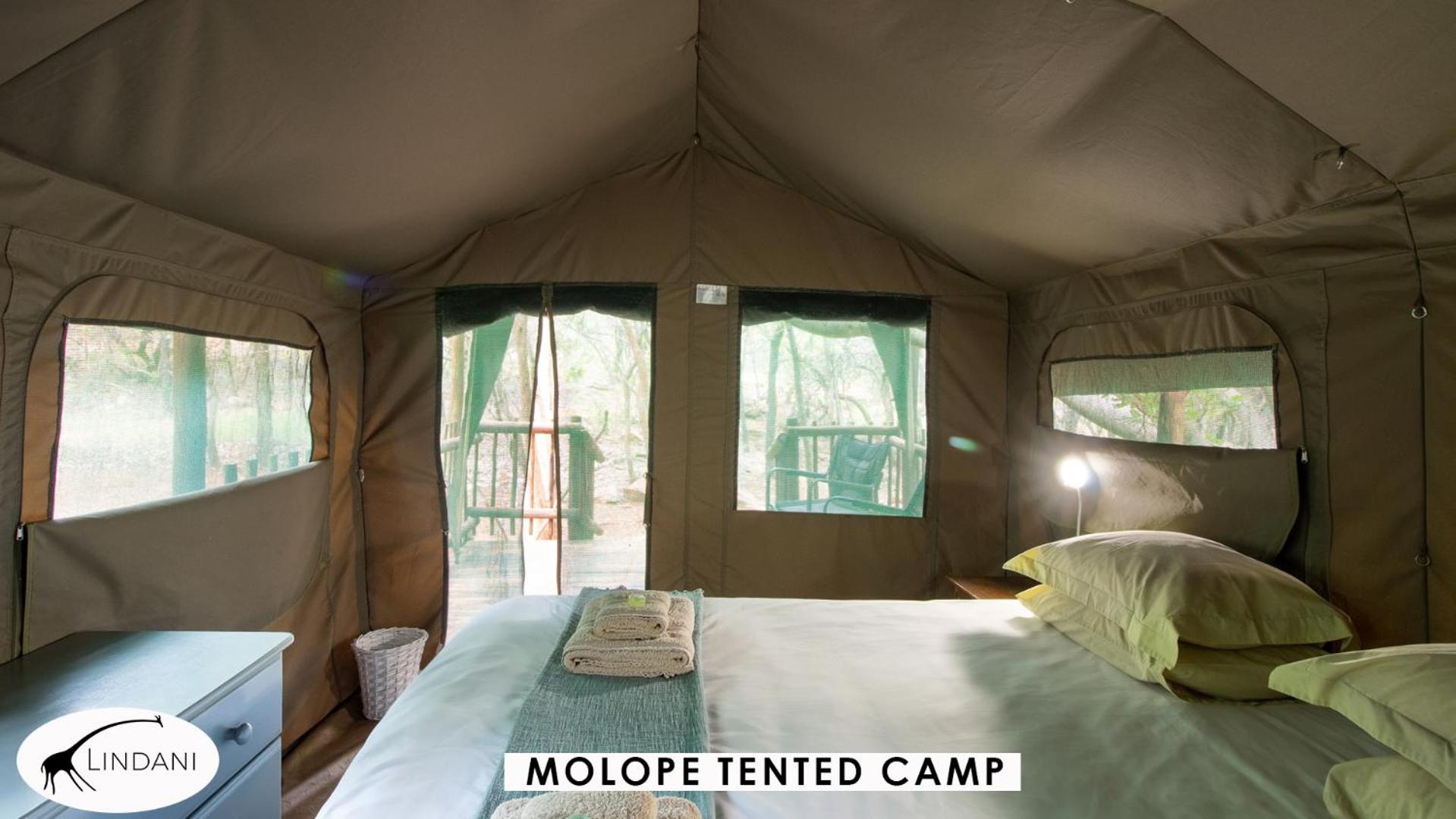 Tent photo 1