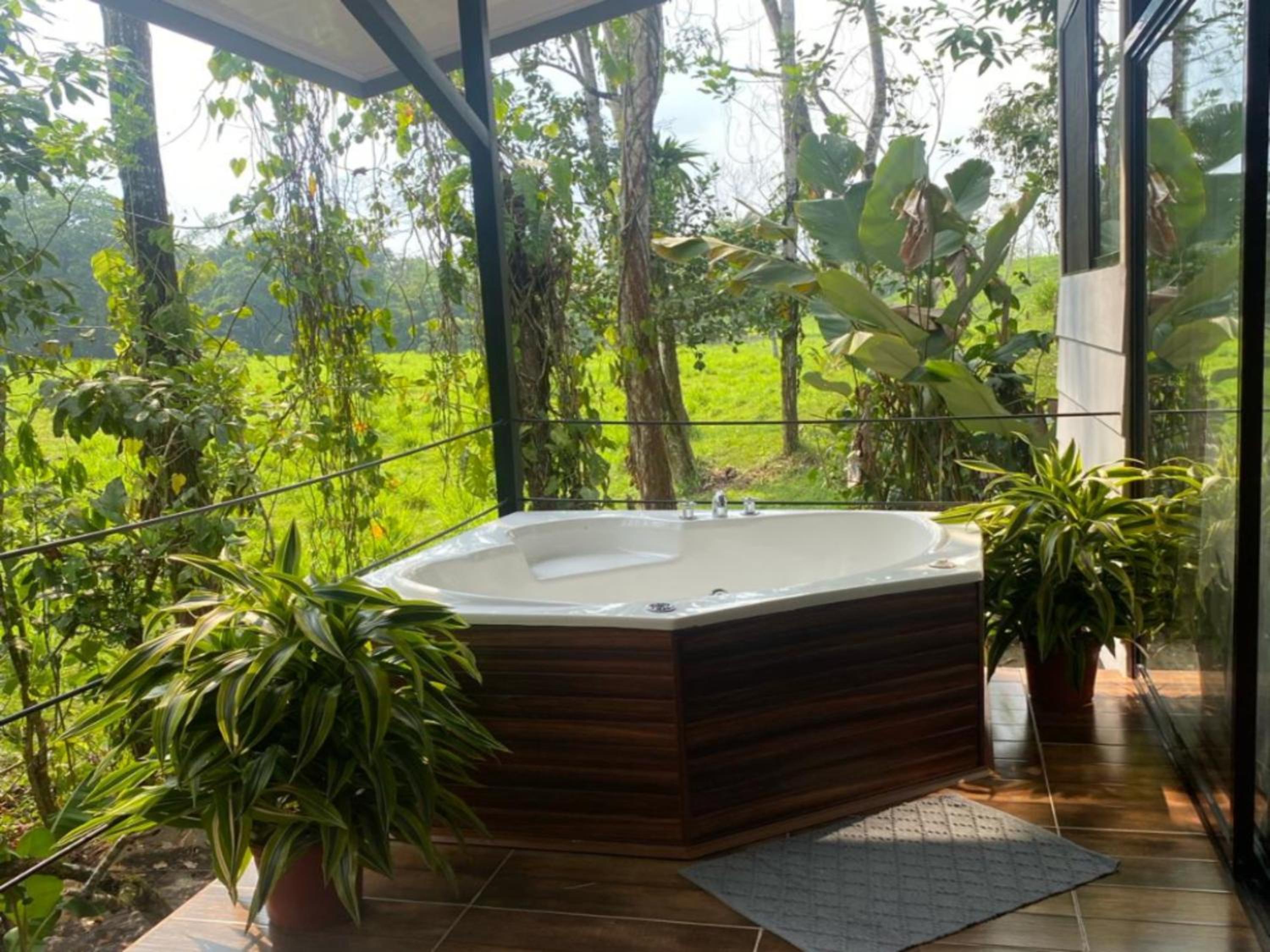 Deluxe Villa photo 2