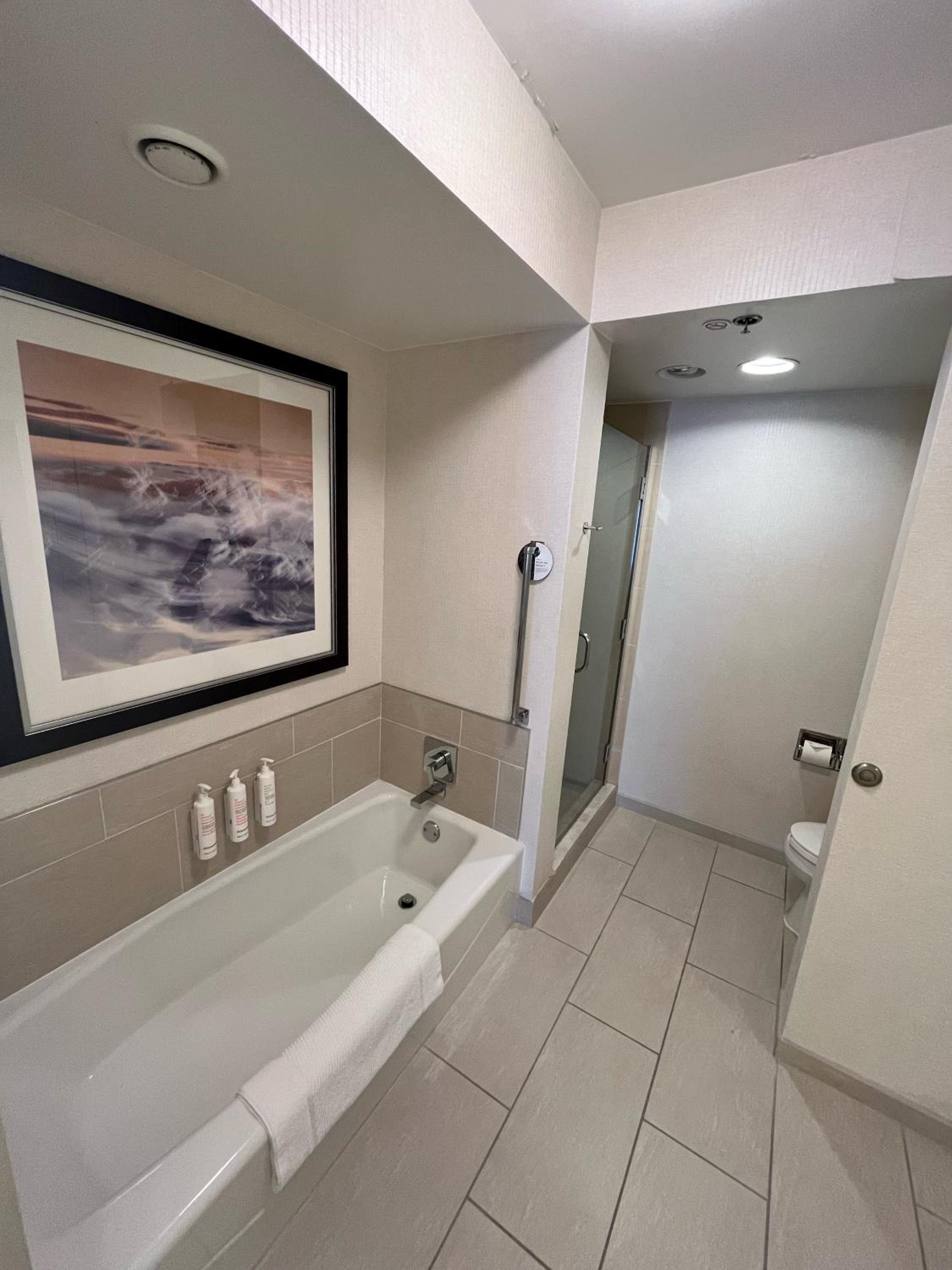 One-Bedroom Suite - Photo 9