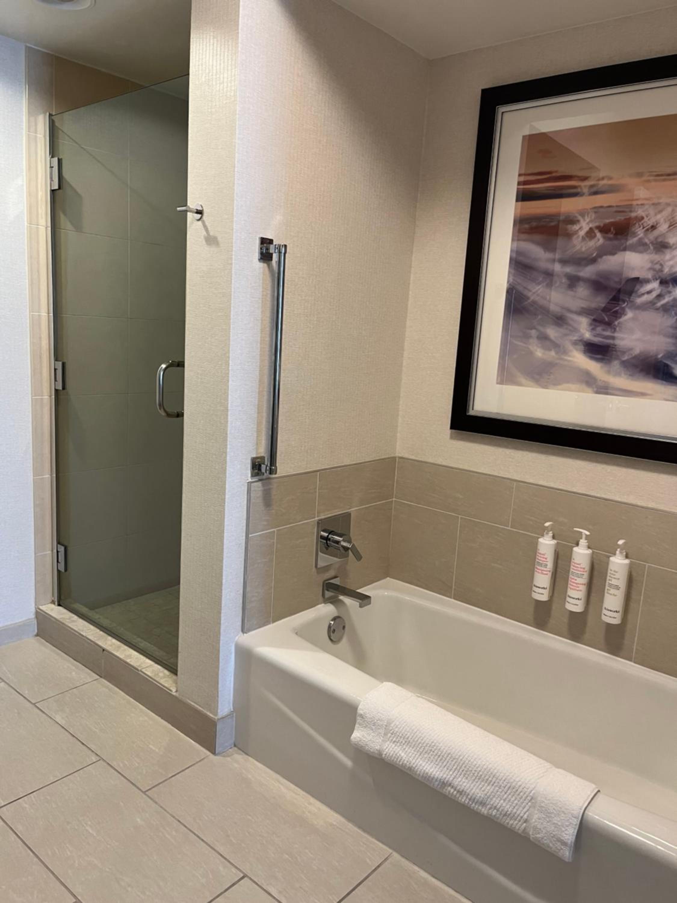 One-Bedroom Suite - Photo 6