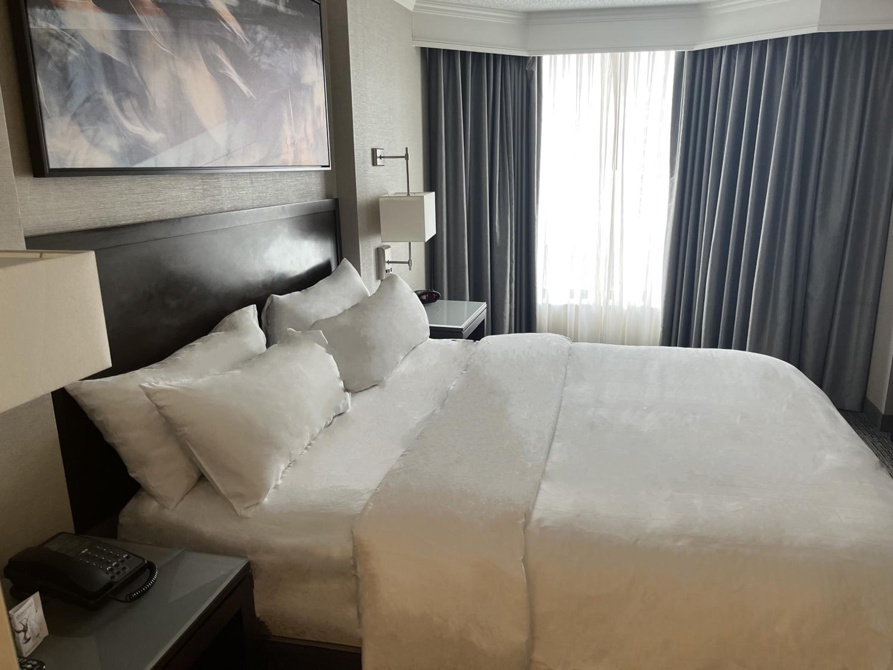 One-Bedroom Suite - Photo 7