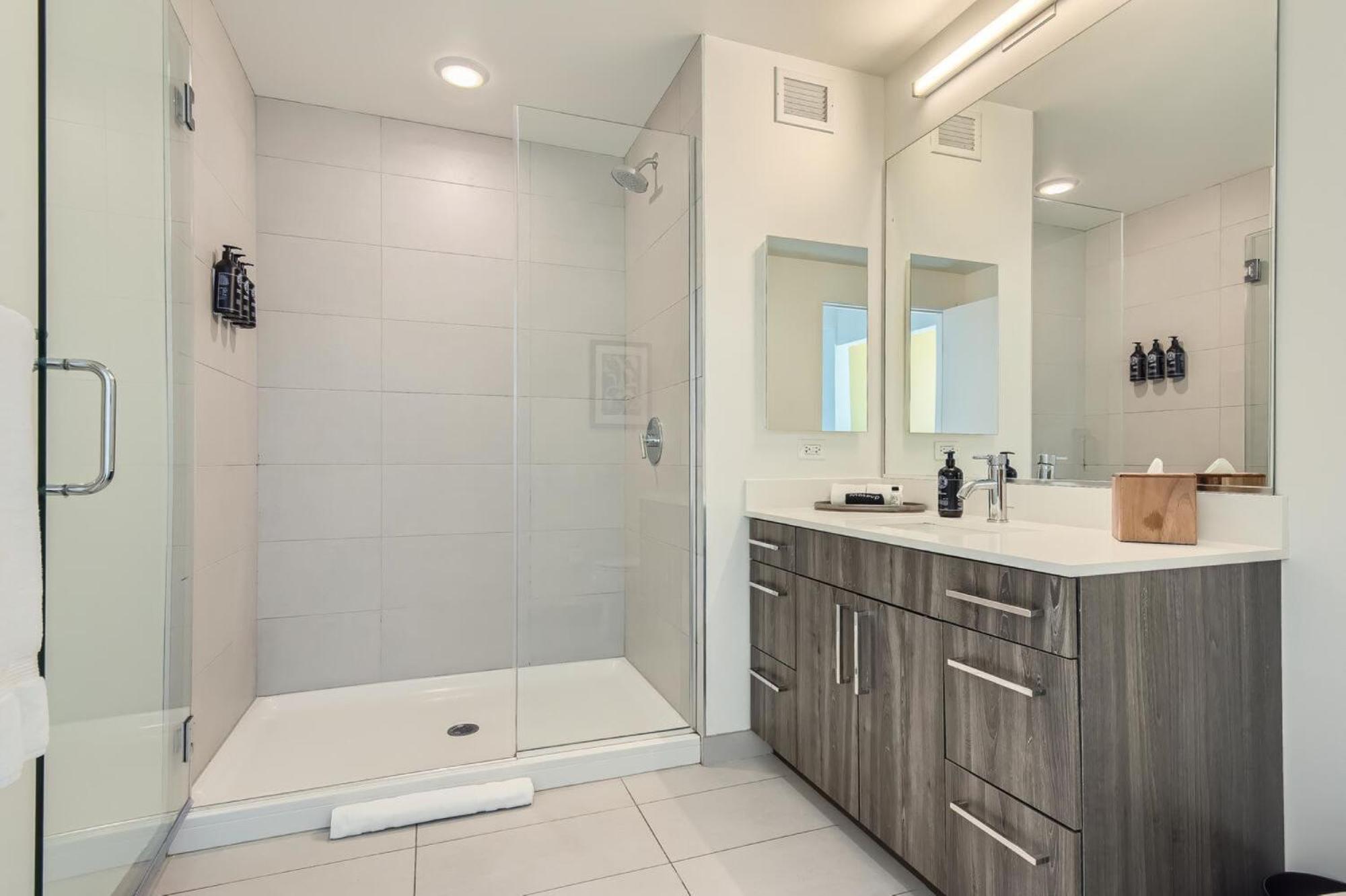 1 Bedroom Apt in South Loop Chicago - Photo 4