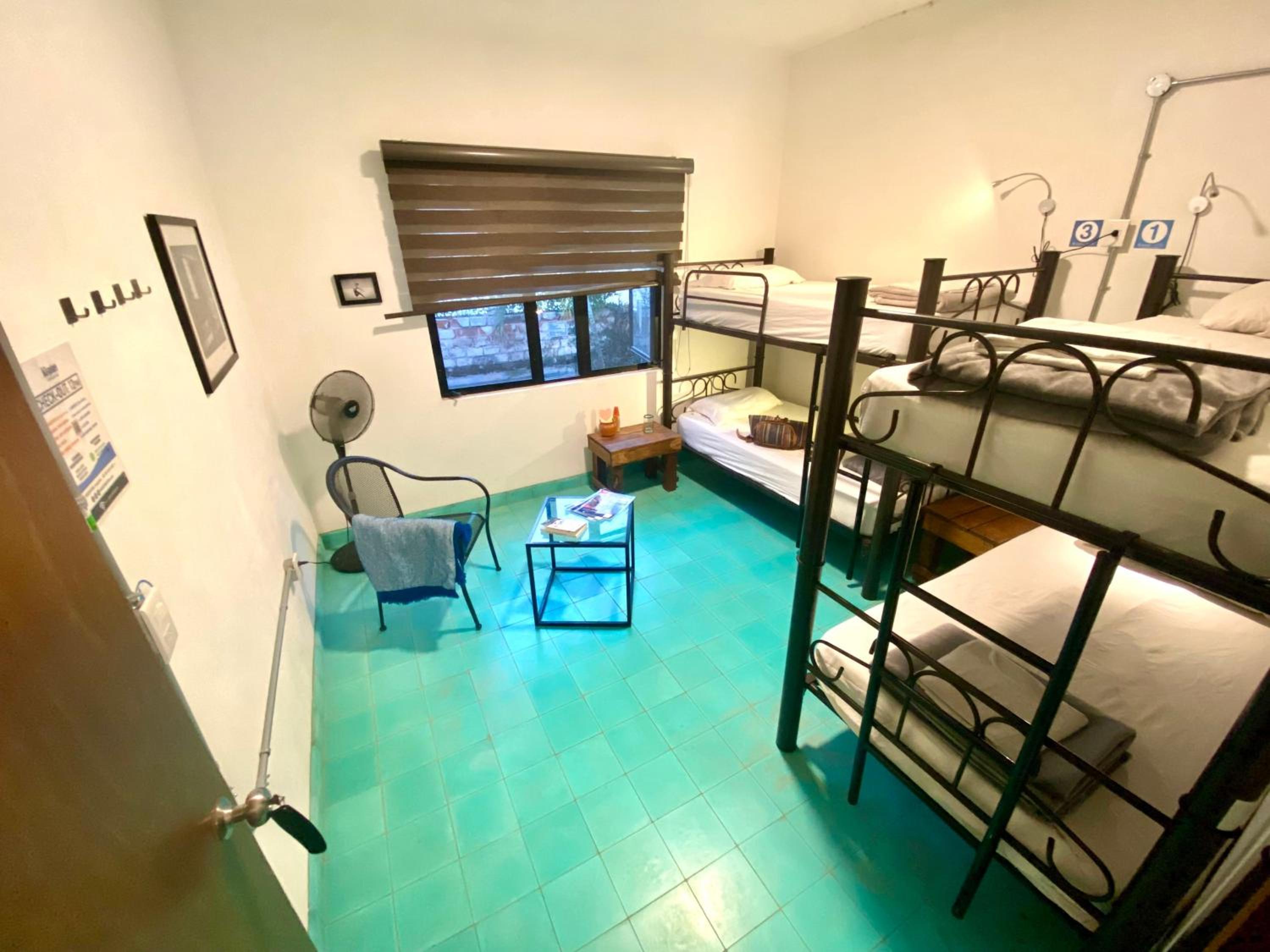 Bed in 4-Bed Mixed Dormitory Room