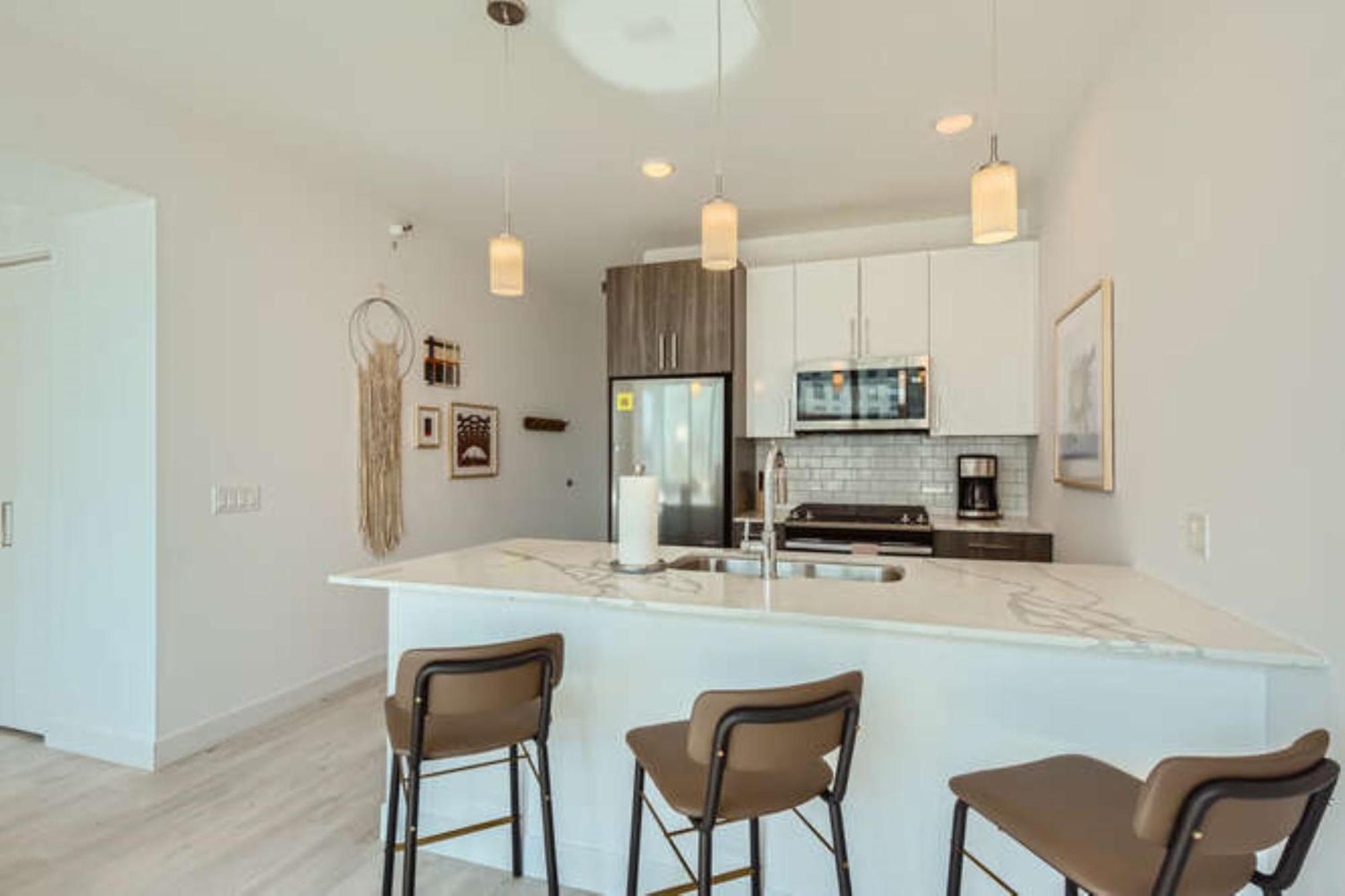 1 Bedroom Apt in South Loop Chicago - Photo 5