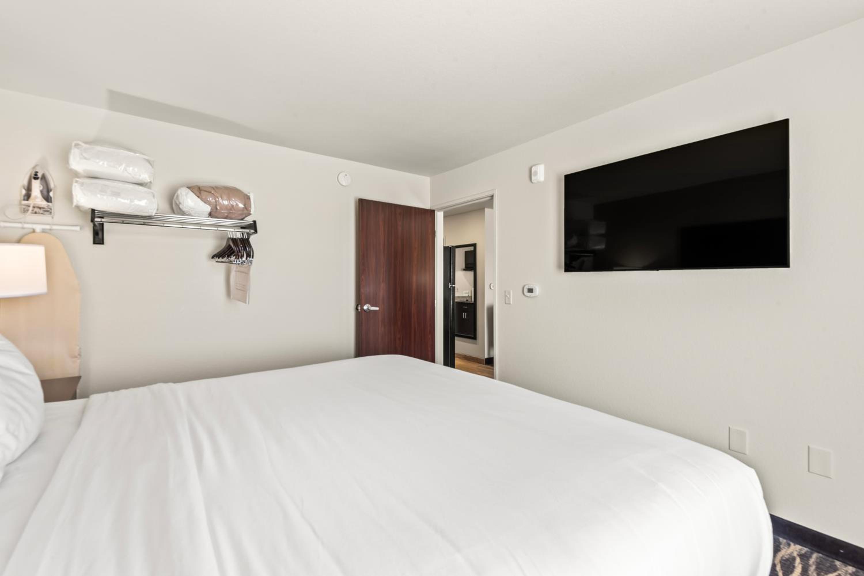 One-Bedroom Suite - Photo 10