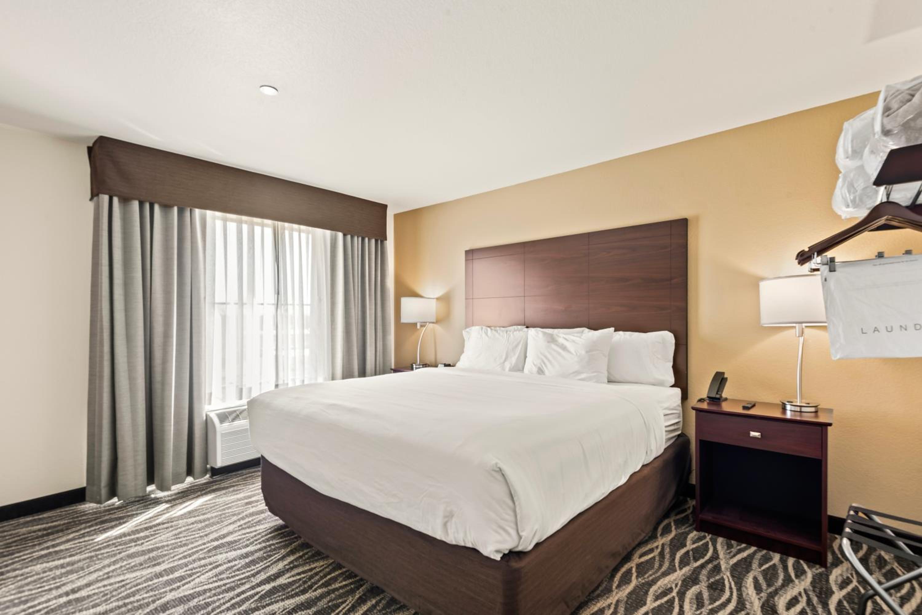 One-Bedroom Suite - Photo 2
