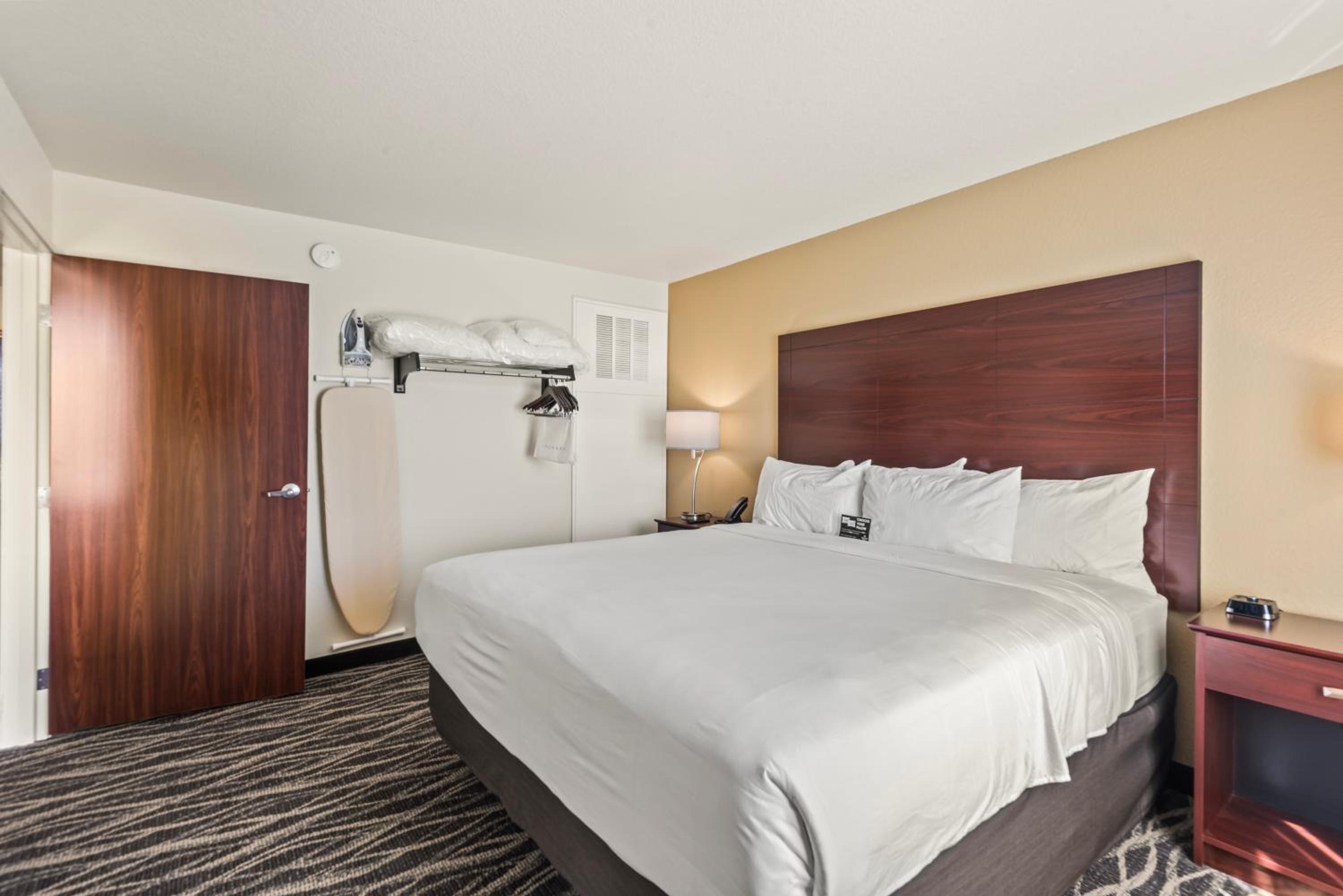 One-Bedroom Suite - Photo 14