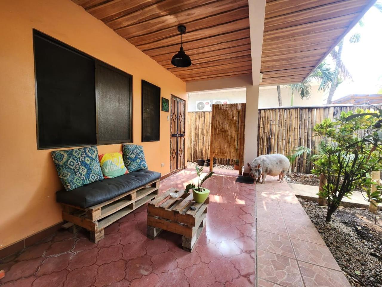 Studio with Terrace