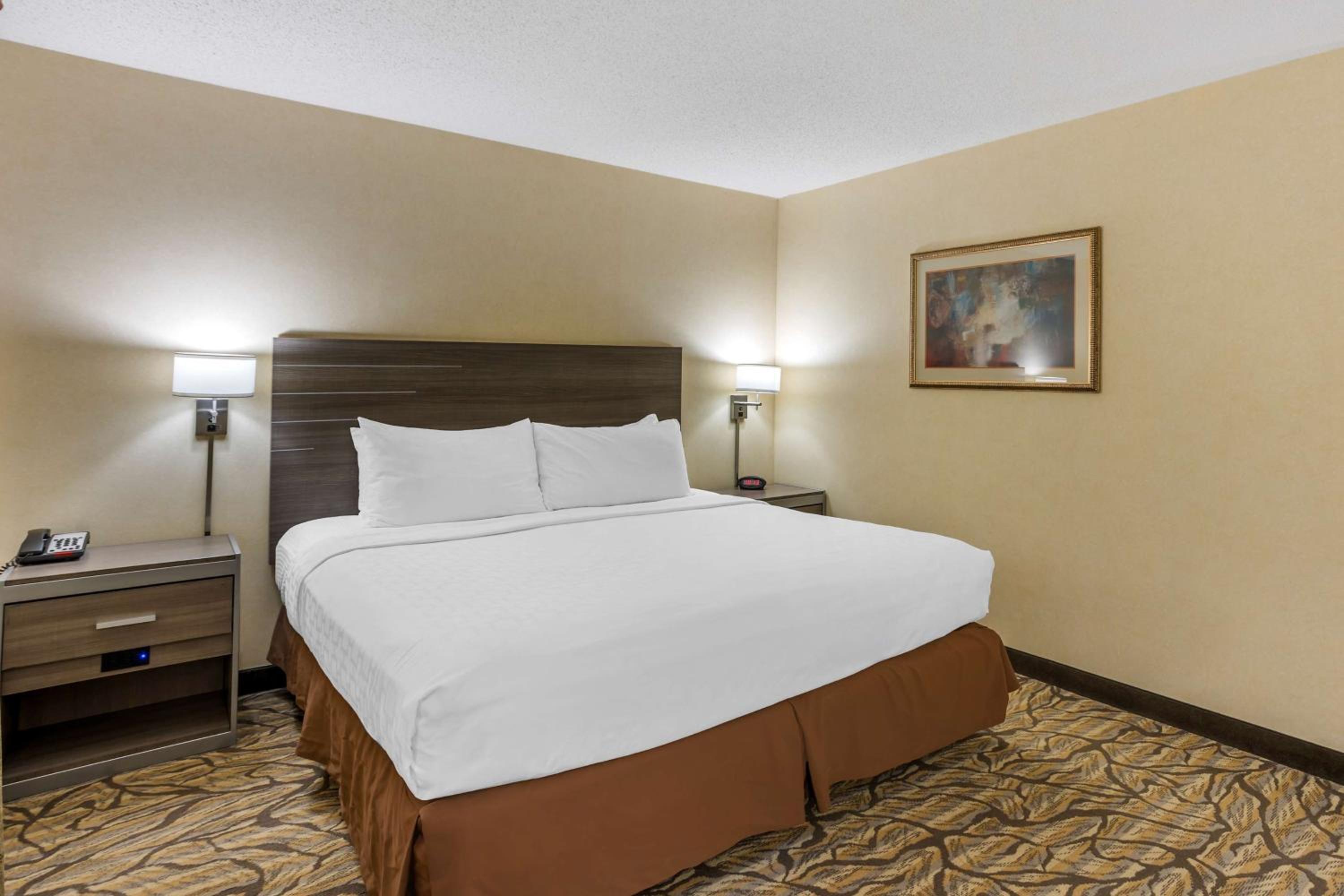 King Room with Roll-in Shower - Disability Access/Non-Smoking photo 1