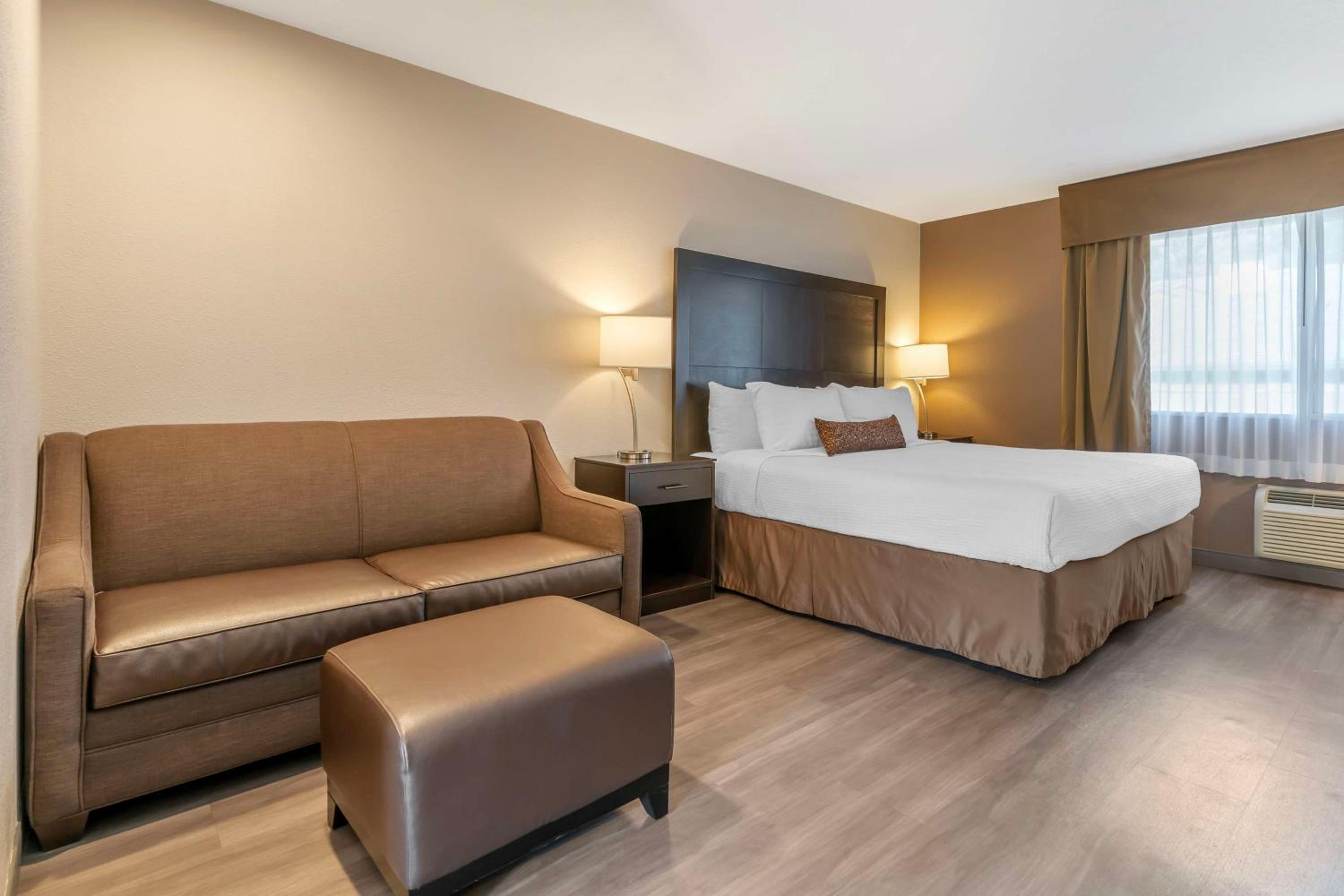 King Suite with Sofa Bed - Non-Smoking