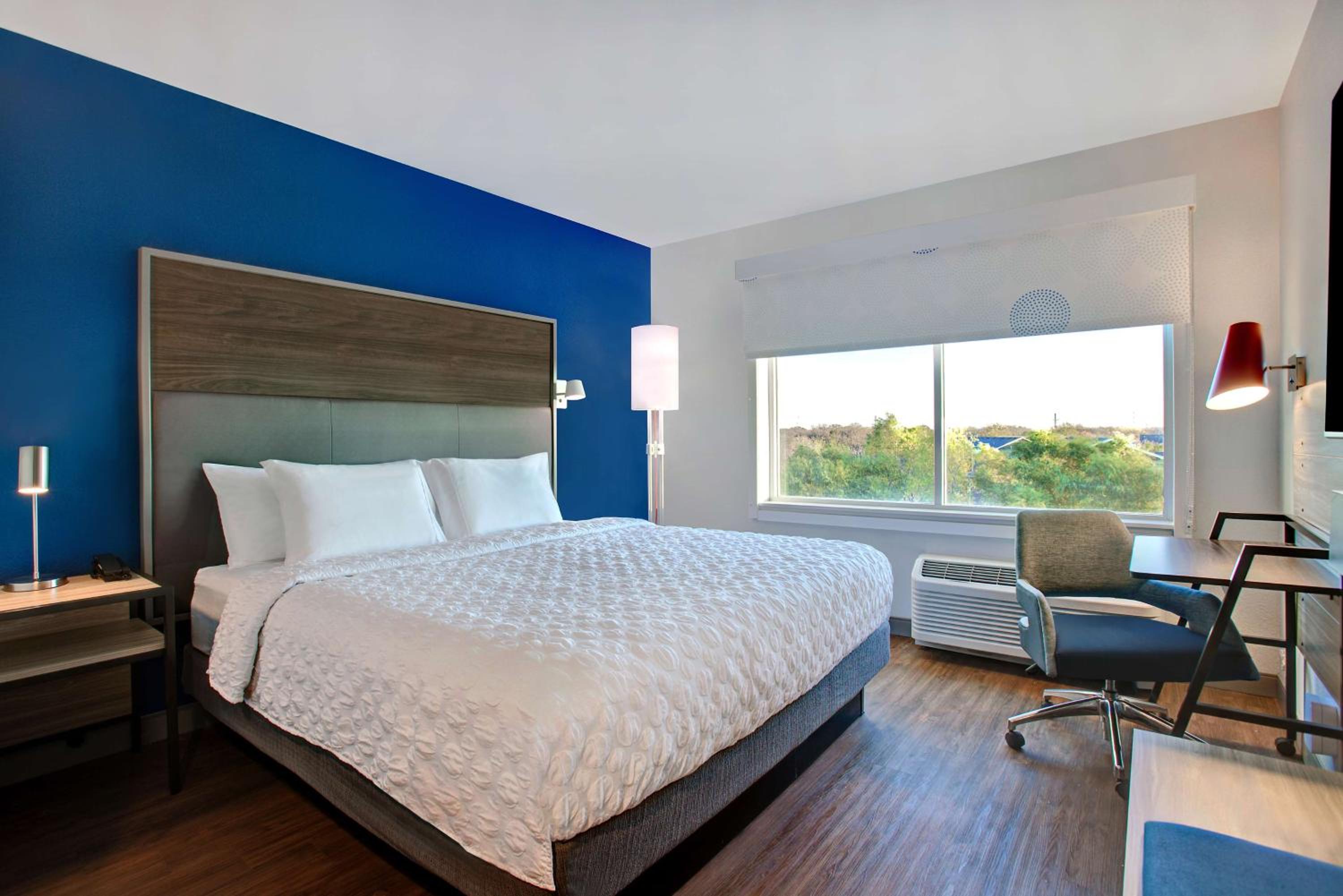 King Room - Photo 1