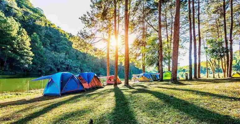 Tent photo 2