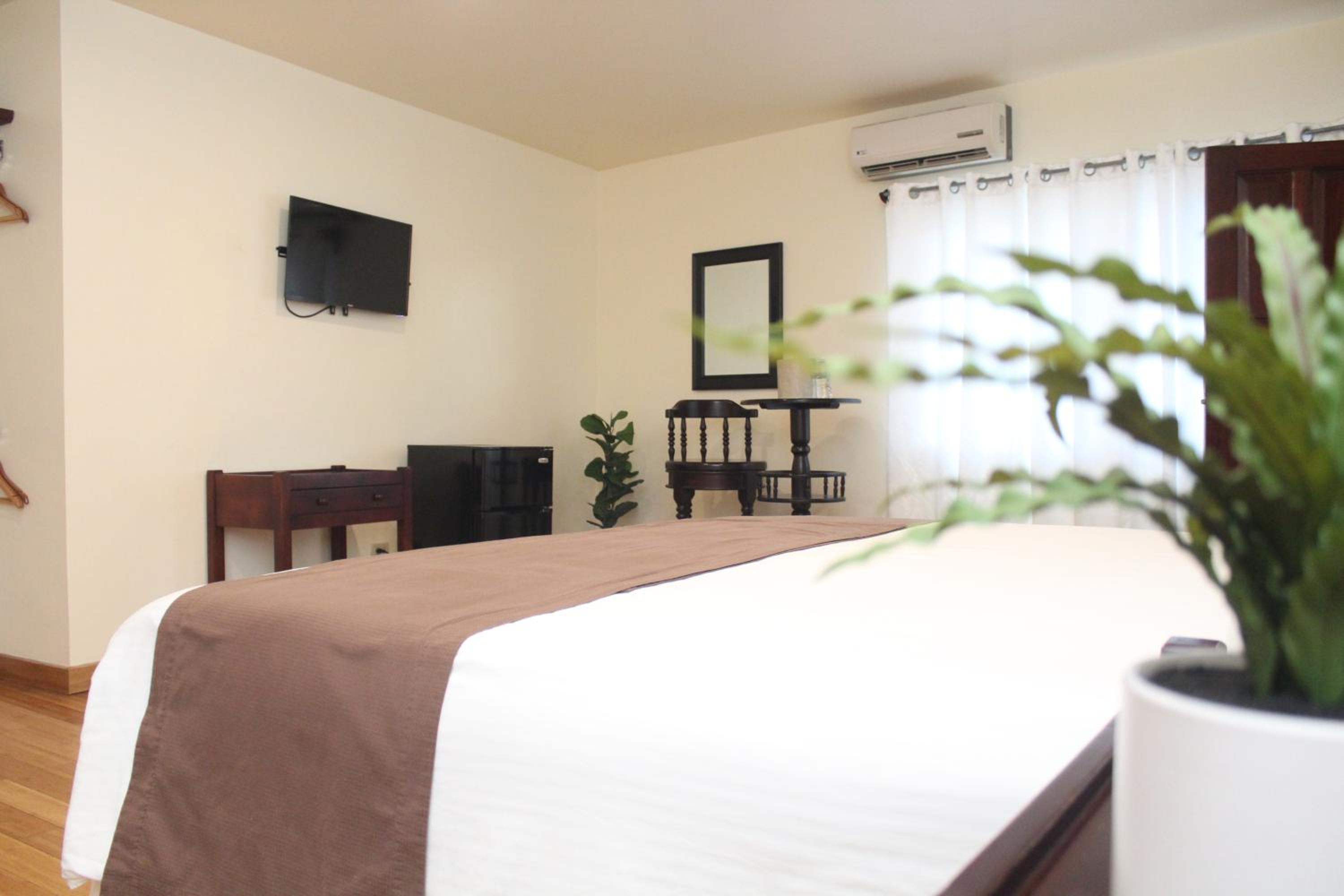 Single Room photo 1