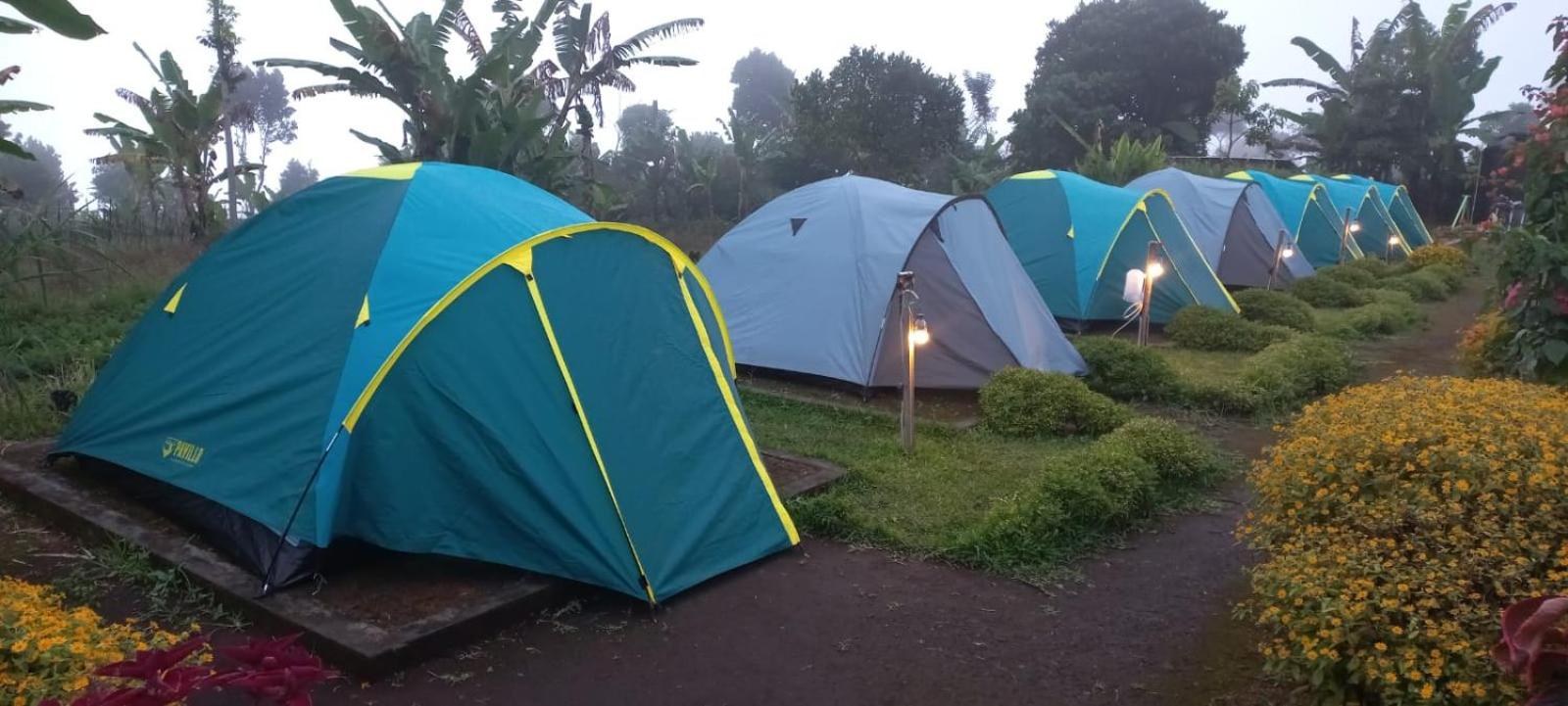 Tent - Photo 4